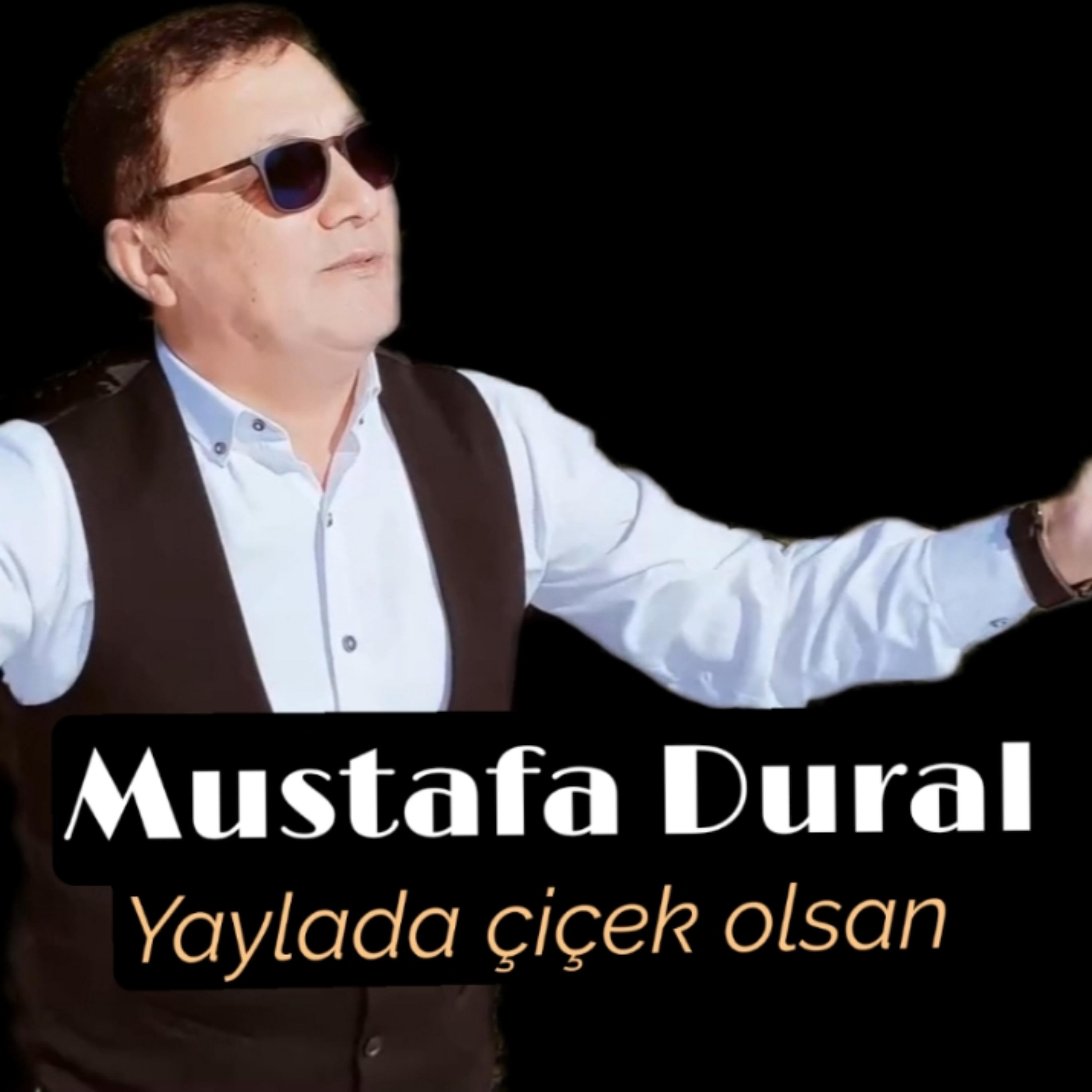 Постер альбома Yaylada Çiçek Olsan