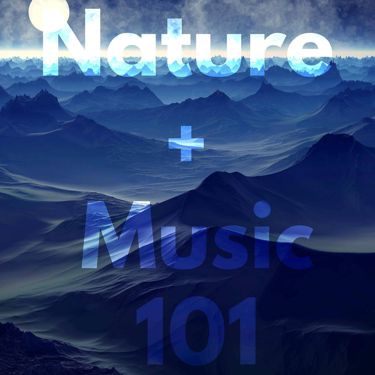 Постер альбома Nature and Music 101