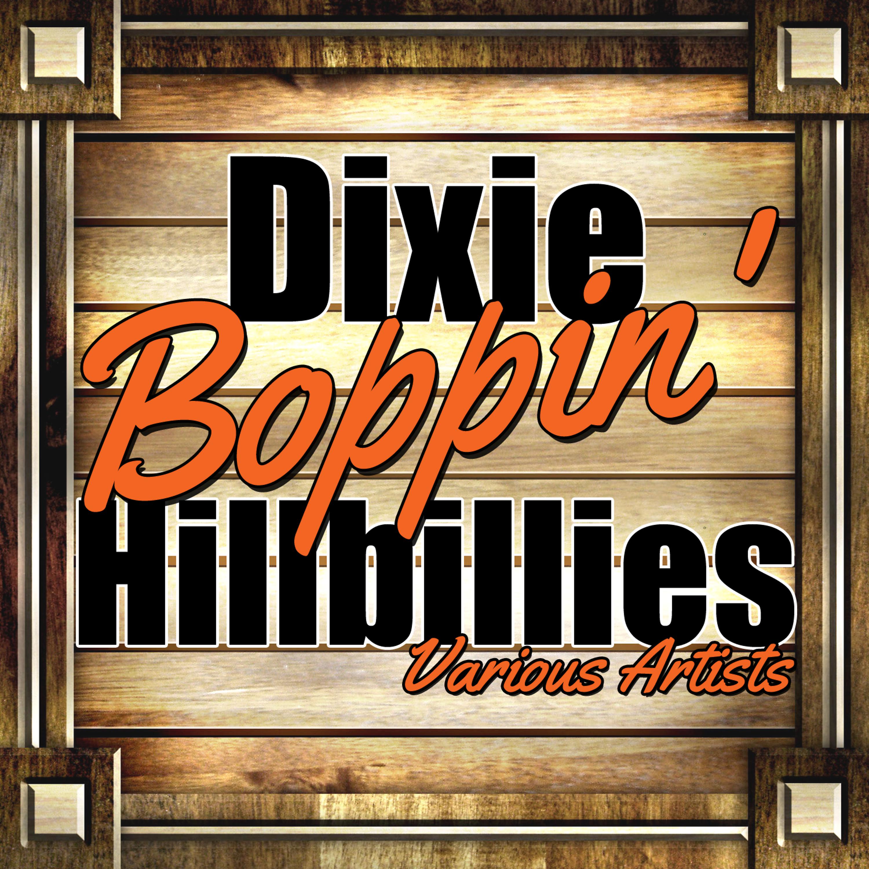 Постер альбома Dixie Boppin' Hillbillies