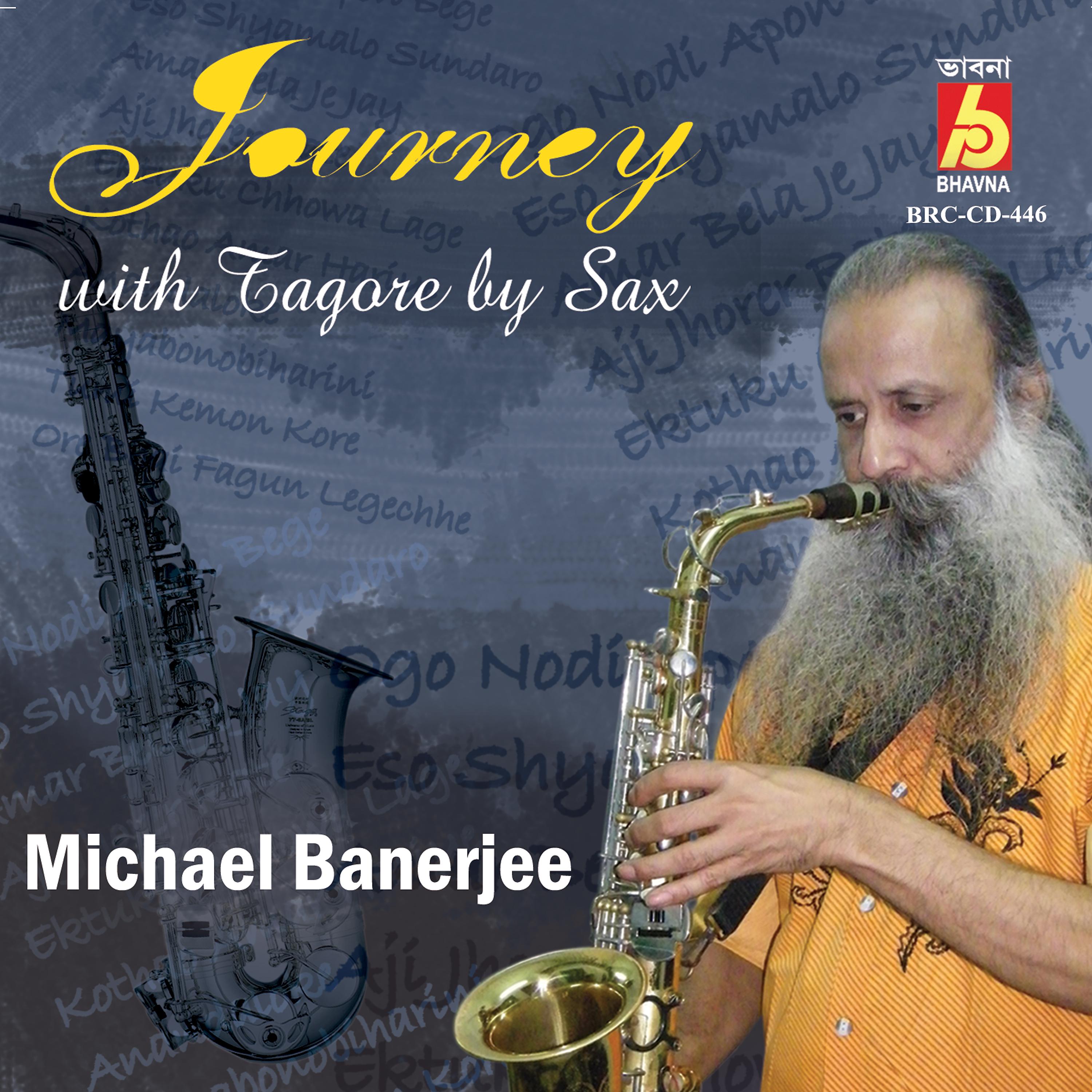 Постер альбома Journey With Tagore By Sax