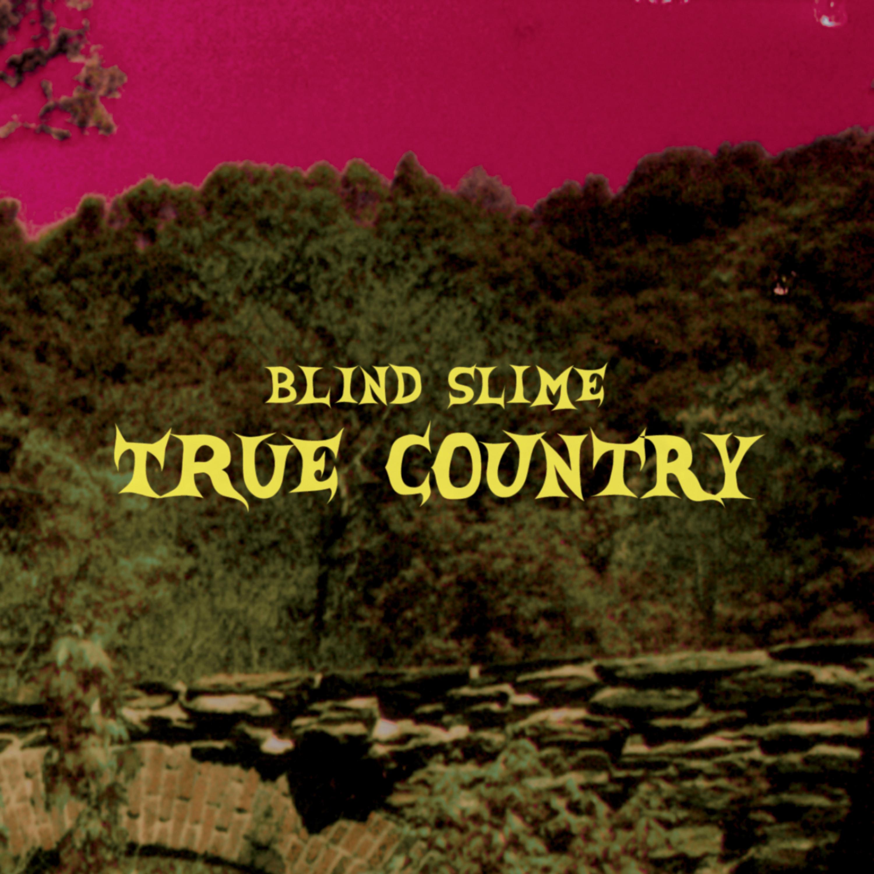 Постер альбома True Country