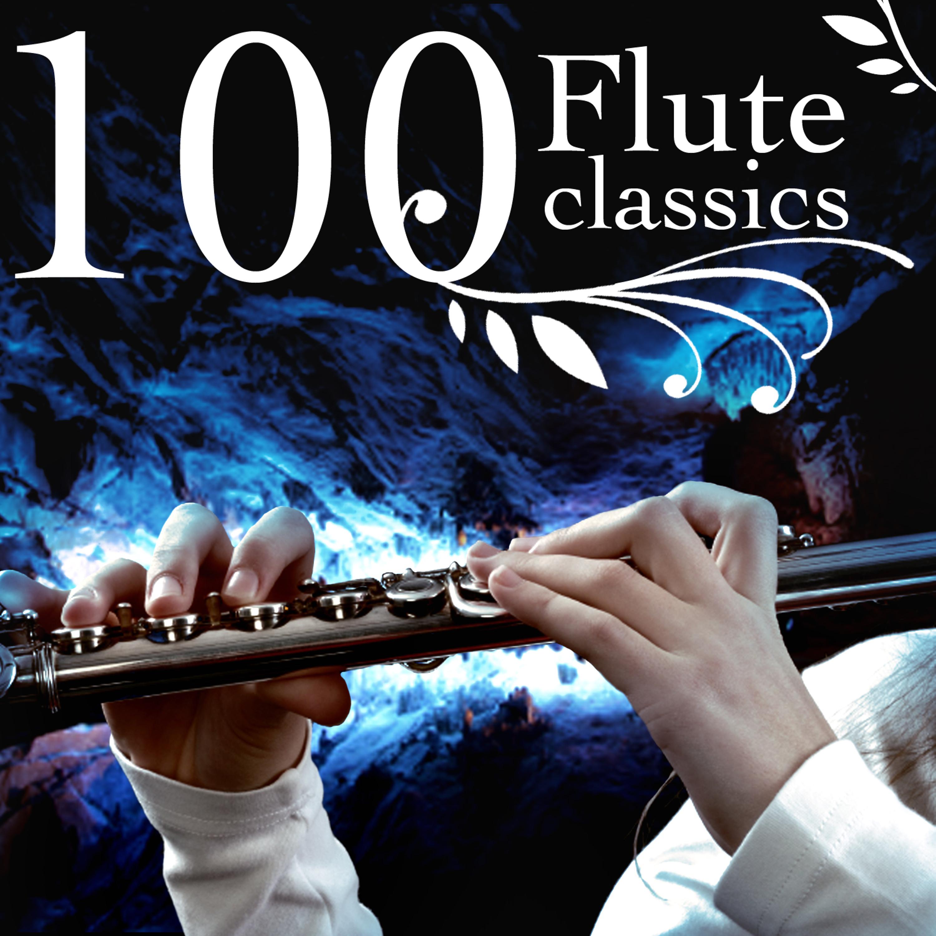 Постер альбома 100 Flute Classics