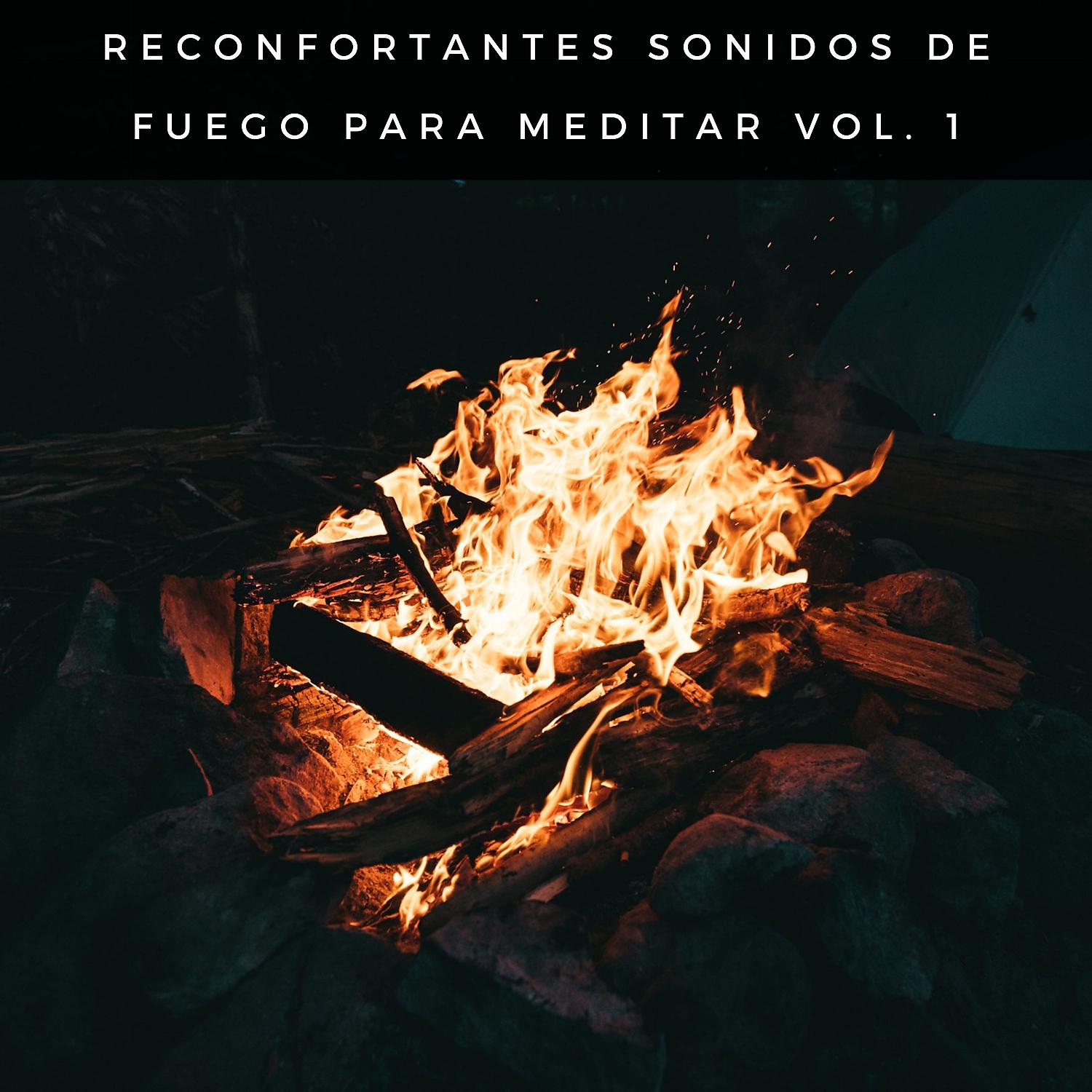 Постер альбома Reconfortantes Sonidos De Fuego Para Meditar Vol. 1