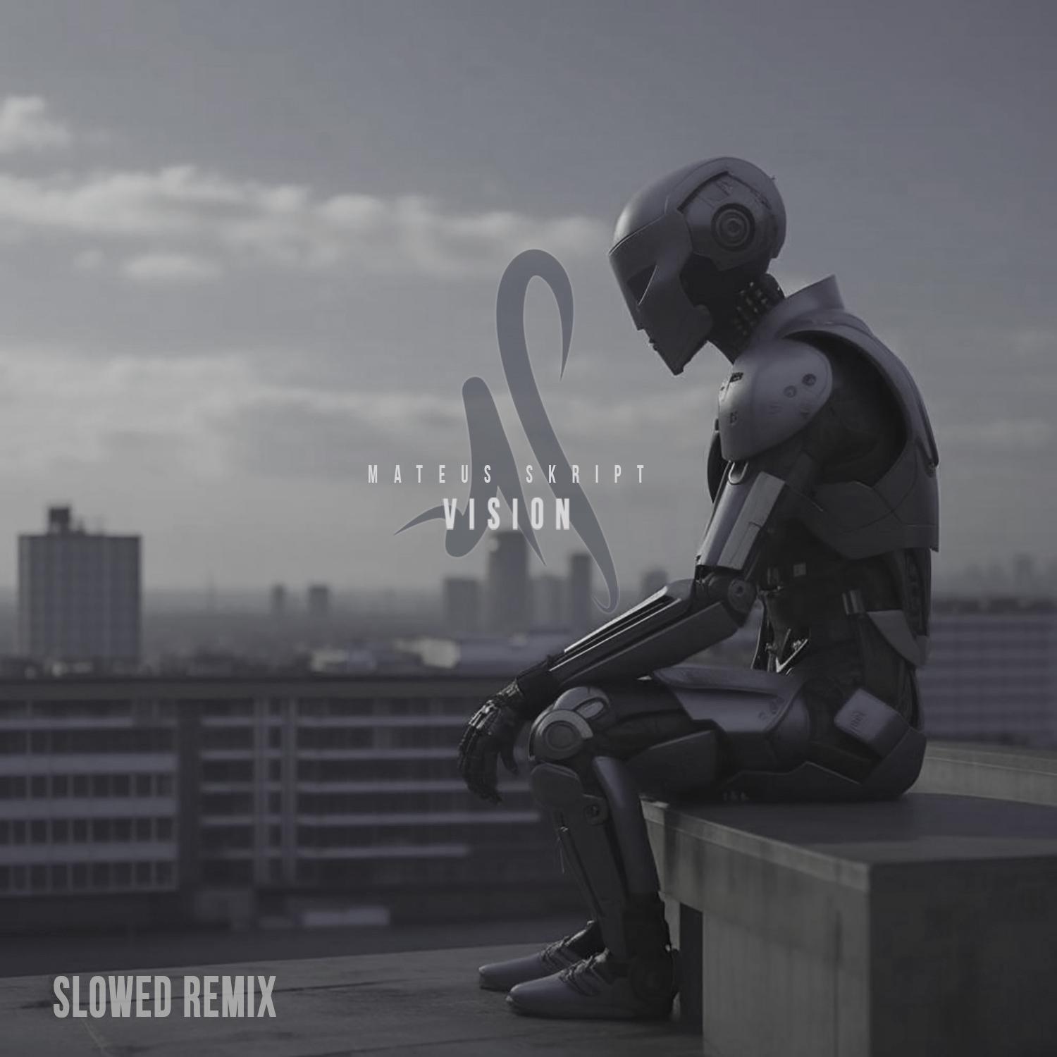 Постер альбома Vision (Slowed Remix)
