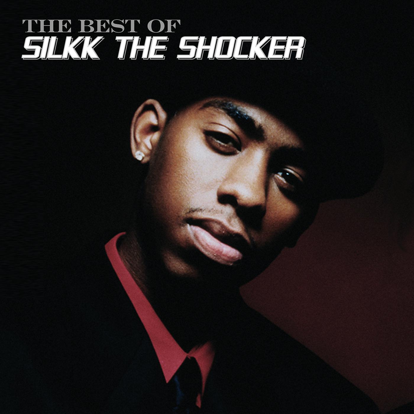 Постер альбома Best Of Silkk The Shocker