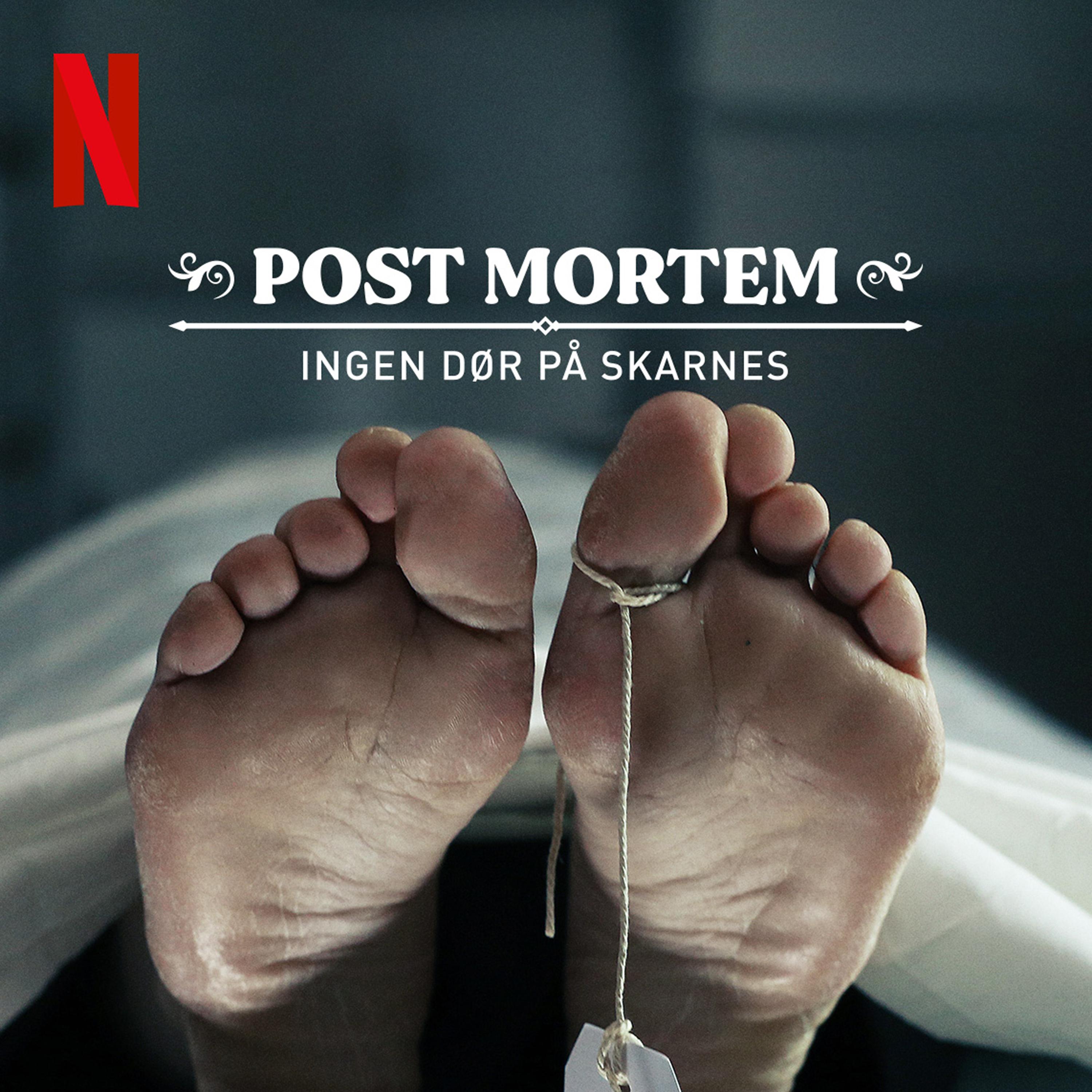 Постер альбома POST MORTEM: Ingen dør på Skarnes - Title song (Død, hvor er din brodd)