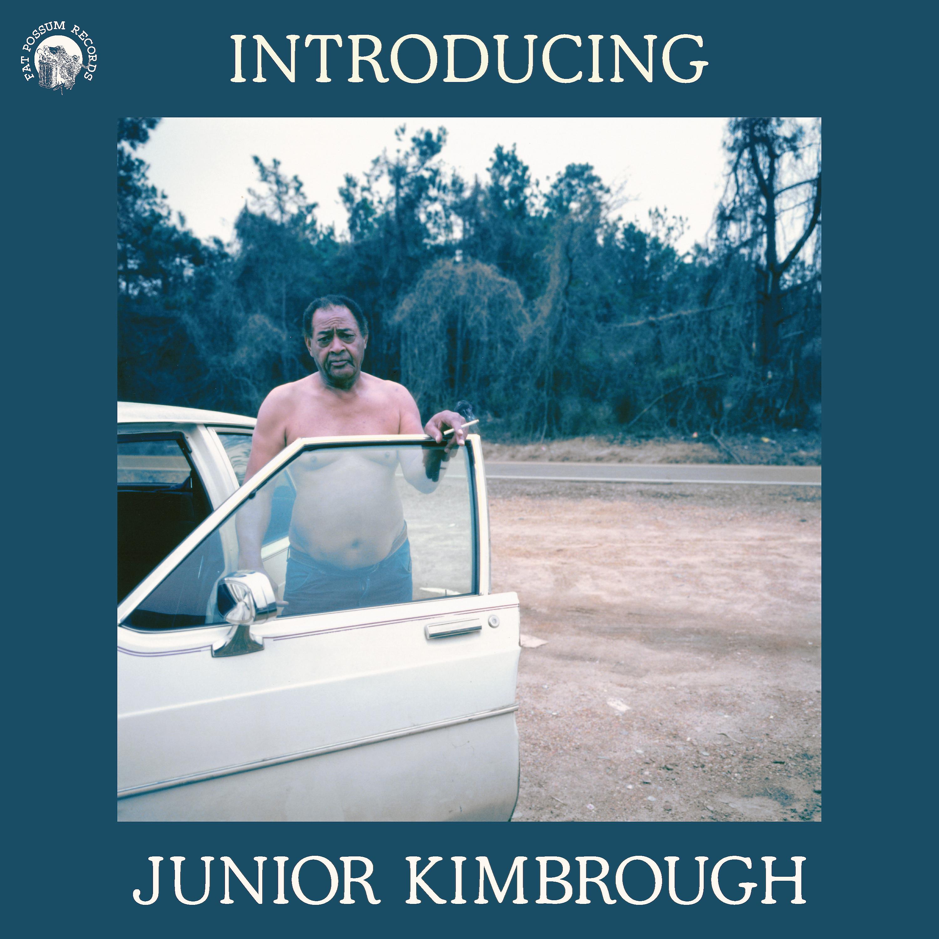 Постер альбома Introducing Junior Kimbrough