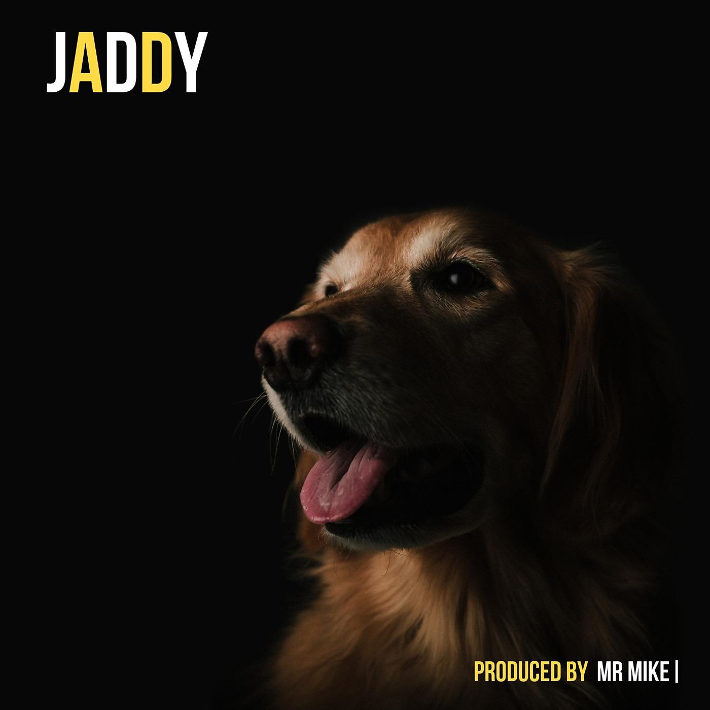 Постер альбома Jaddy