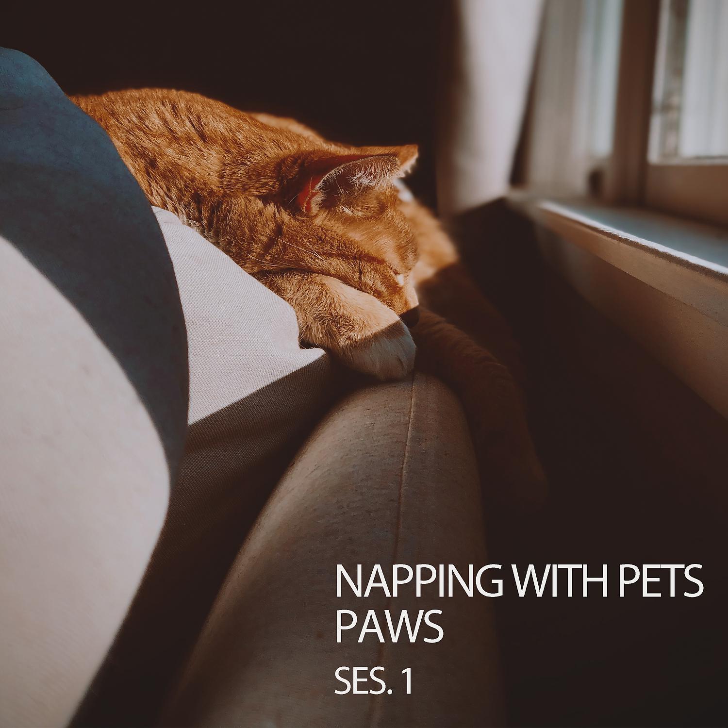 Постер альбома Napping With Pets Paws Ses. 1