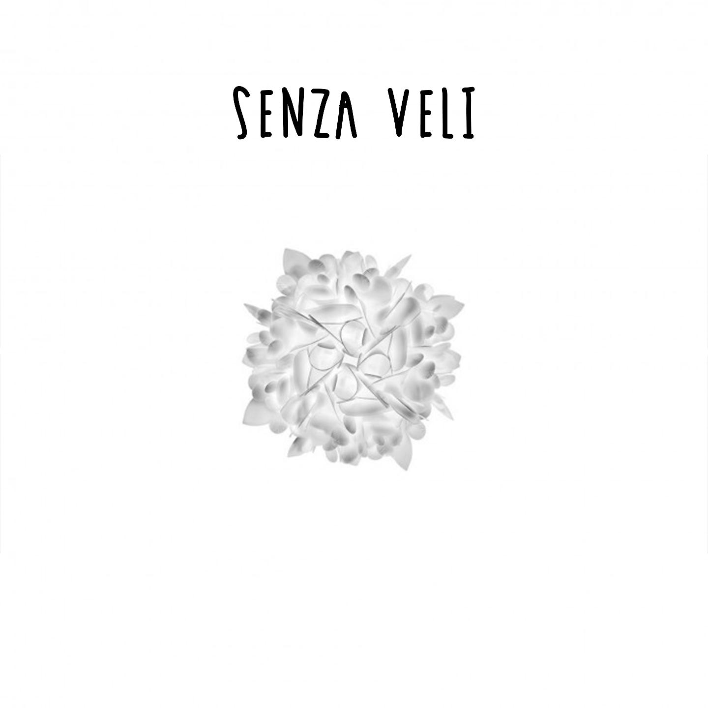 Постер альбома Senza veli