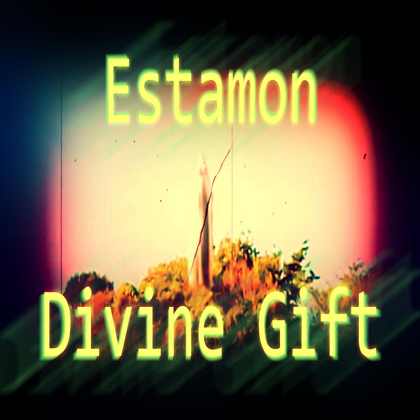 Постер альбома Divine Gift