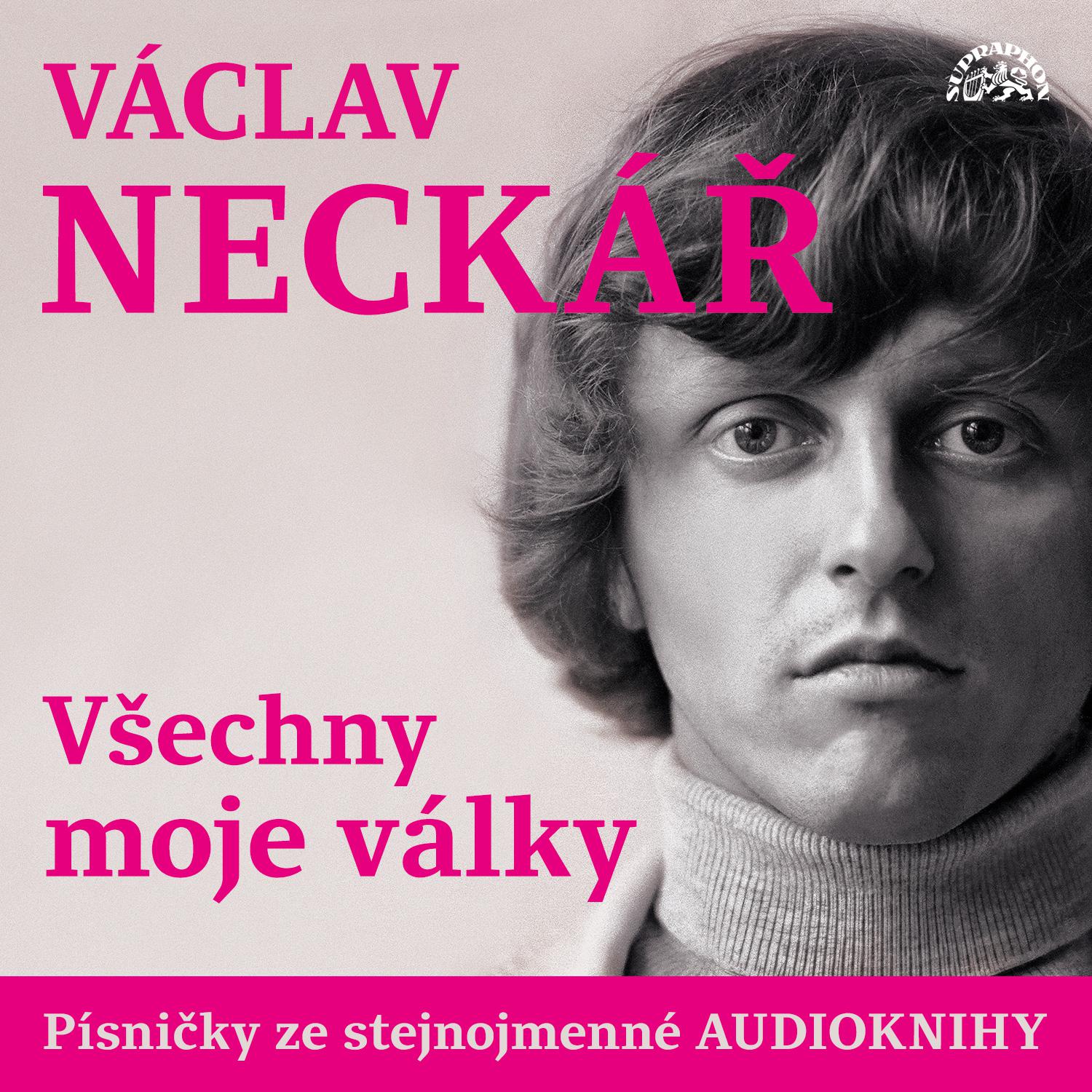 Постер альбома Všechny moje války (Písničky ze stejnojmenné audioknihy)