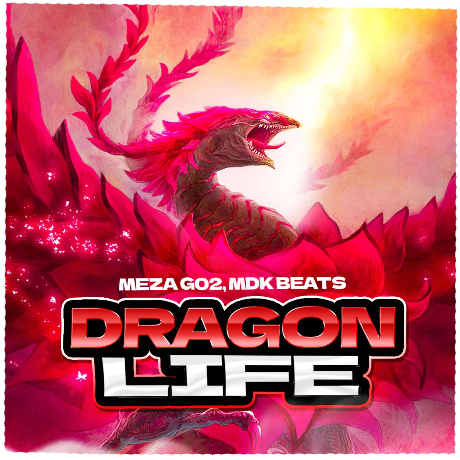 Постер альбома DRAGON LIFE
