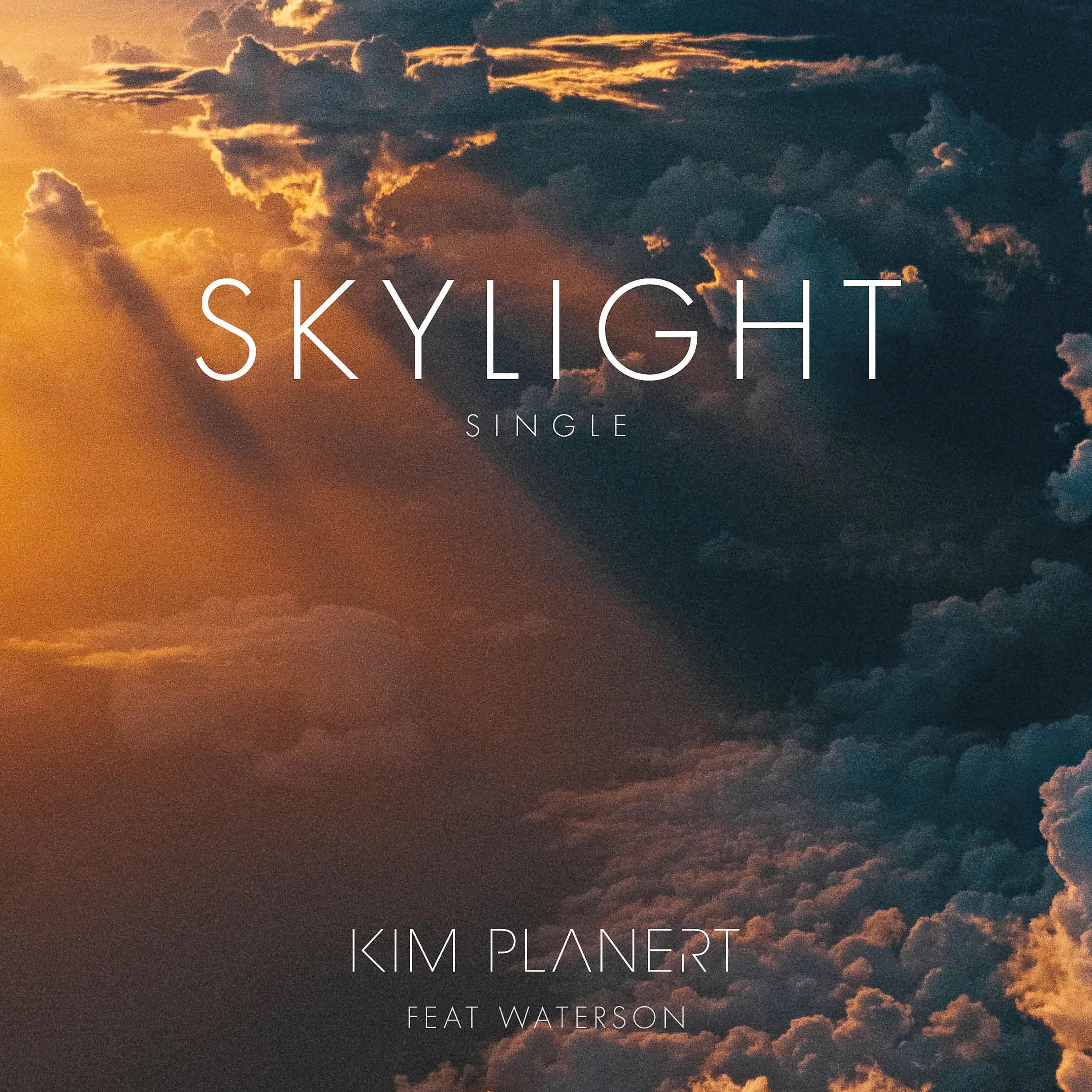 Постер альбома Skylight (feat. Waterson)