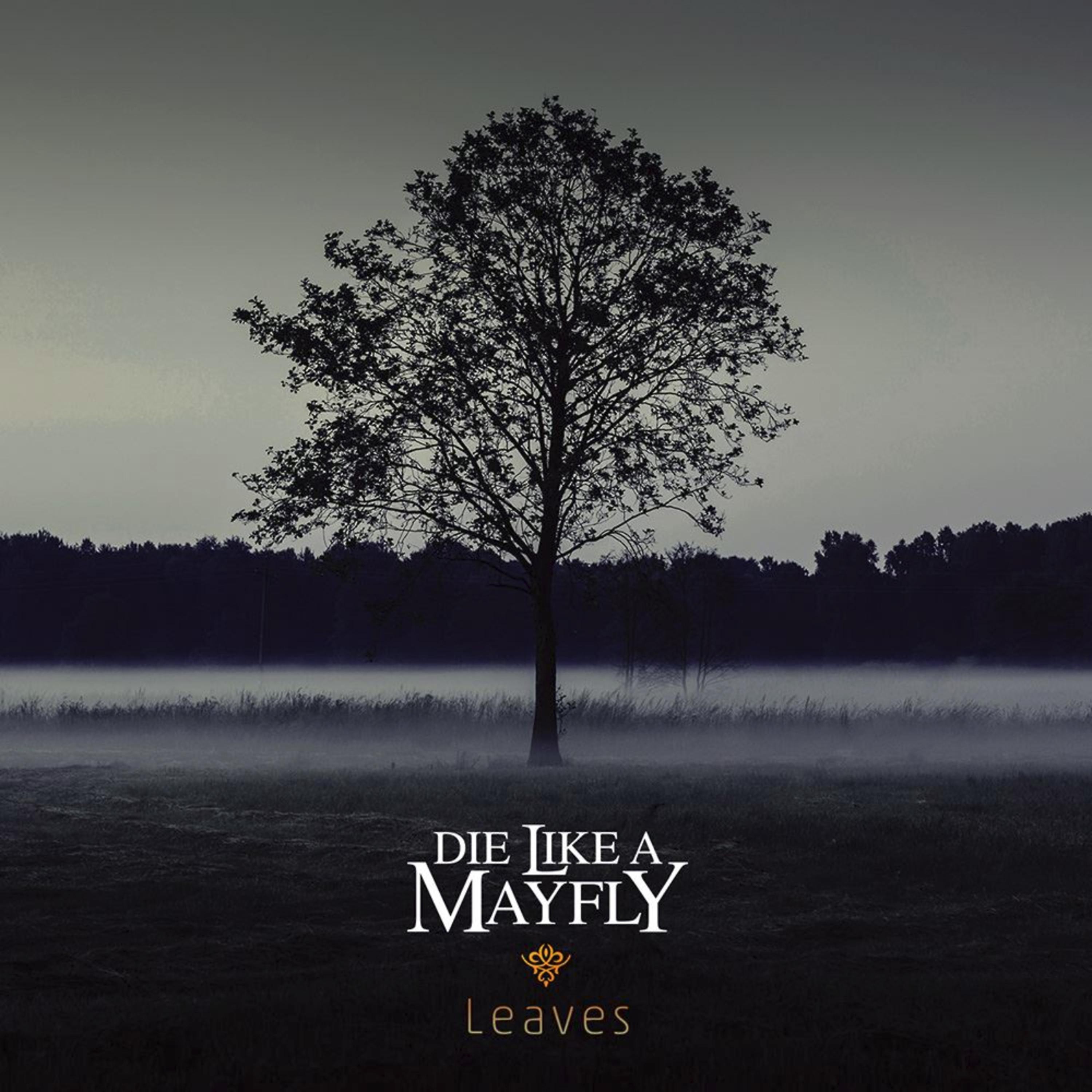 Постер альбома Leaves
