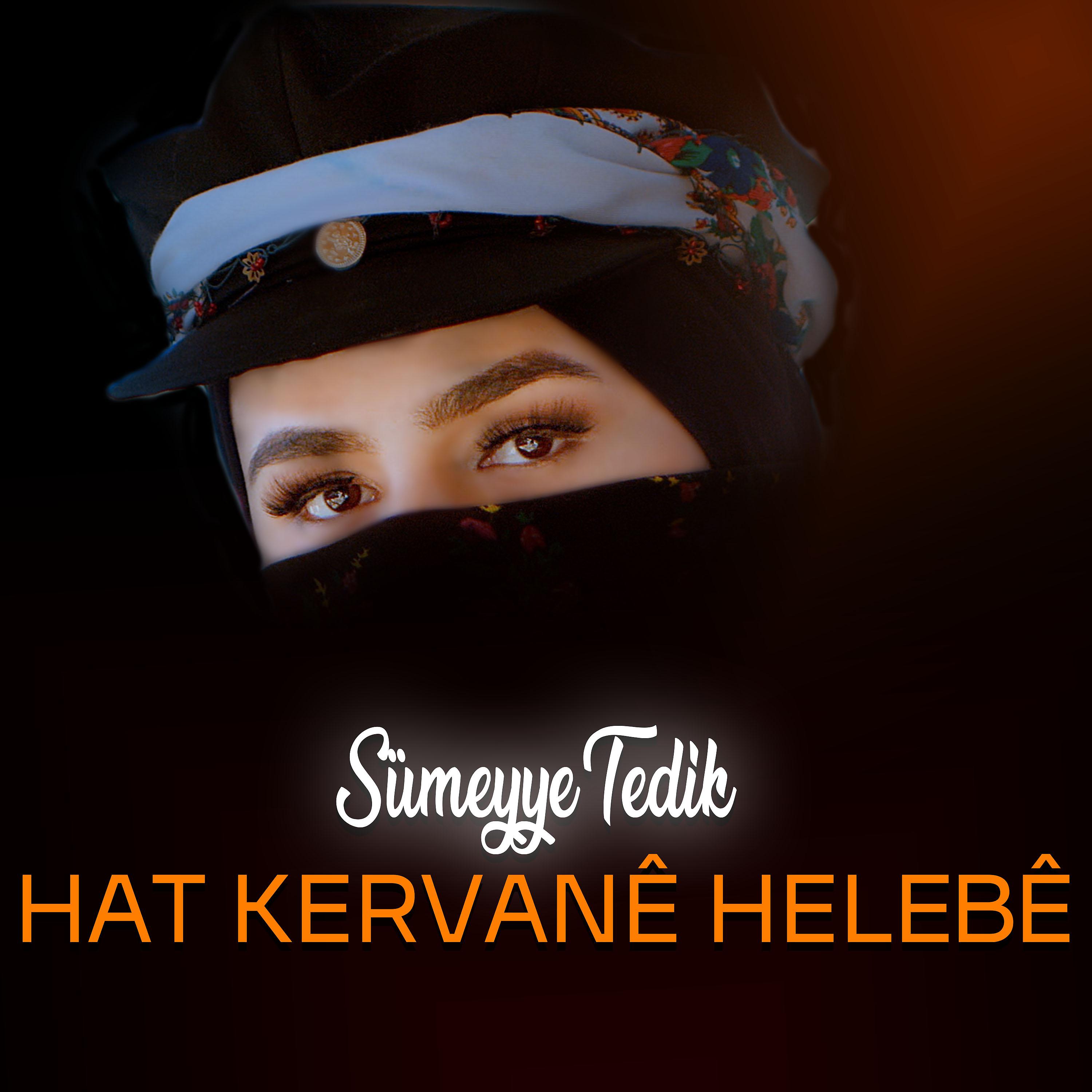 Постер альбома Hat Kervane Helebe