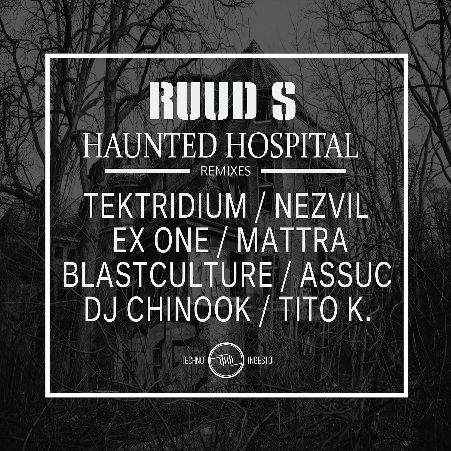 Постер альбома Haunted Hospital