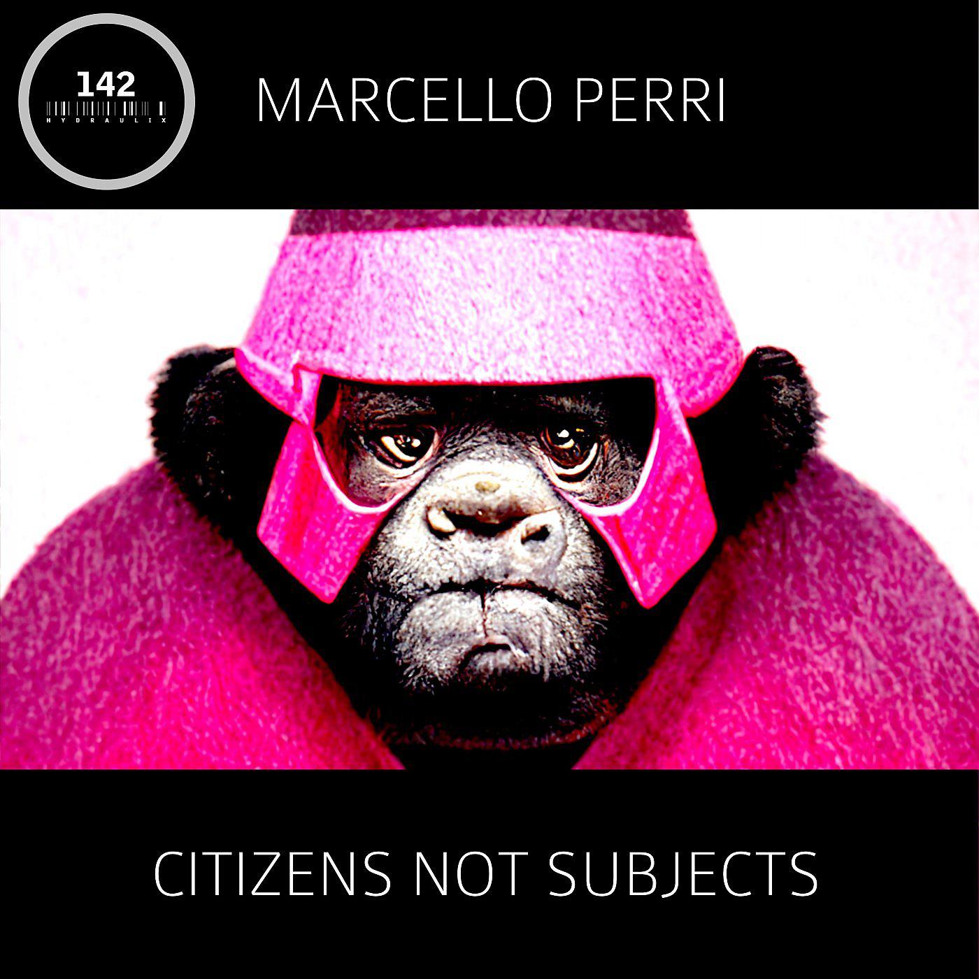 Постер альбома Citizens Not Subjects