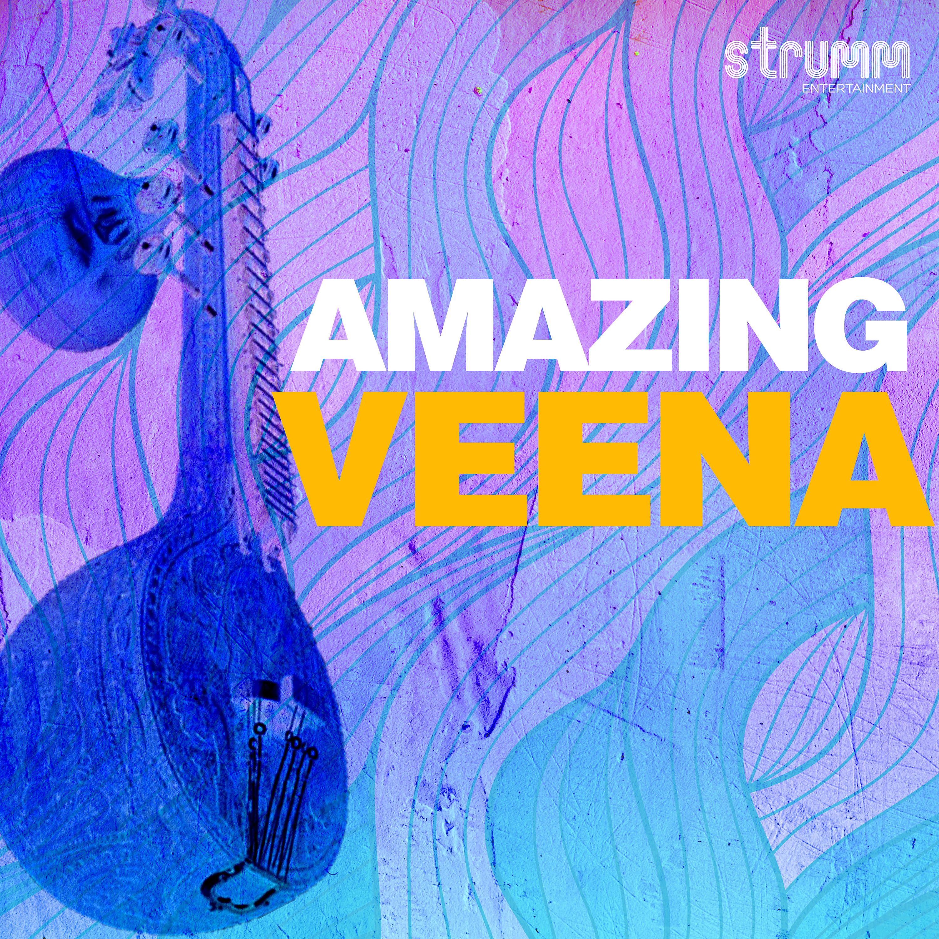 Постер альбома Amazing Veena