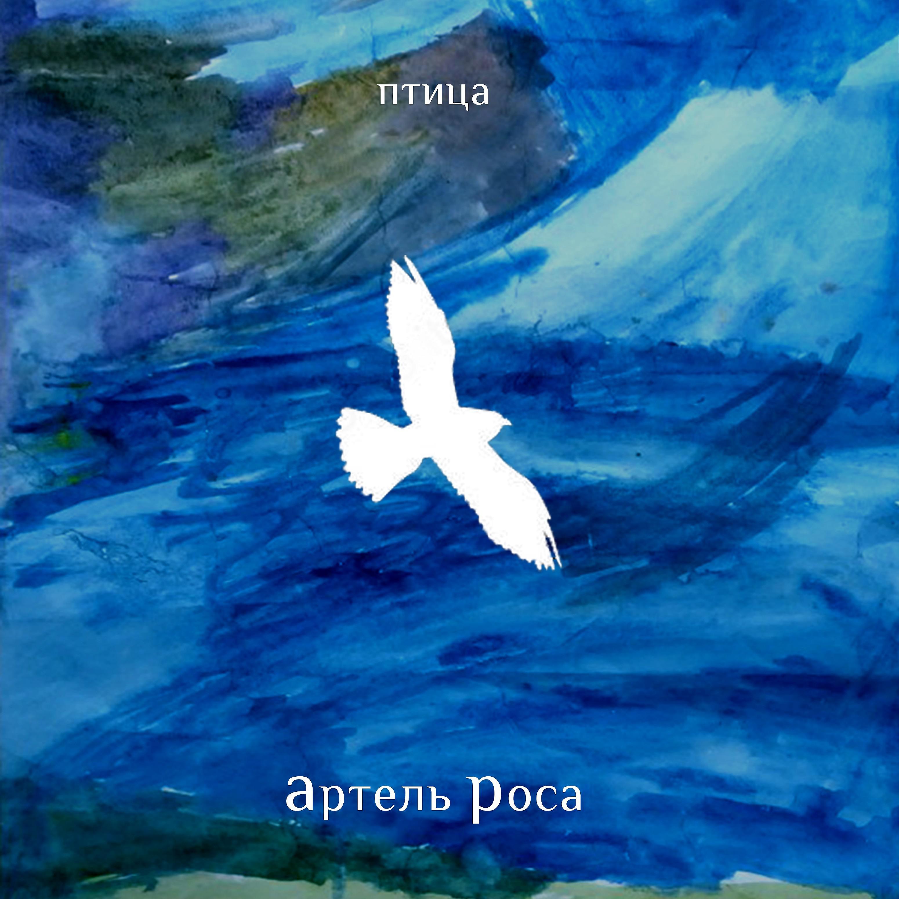 Постер альбома Птица