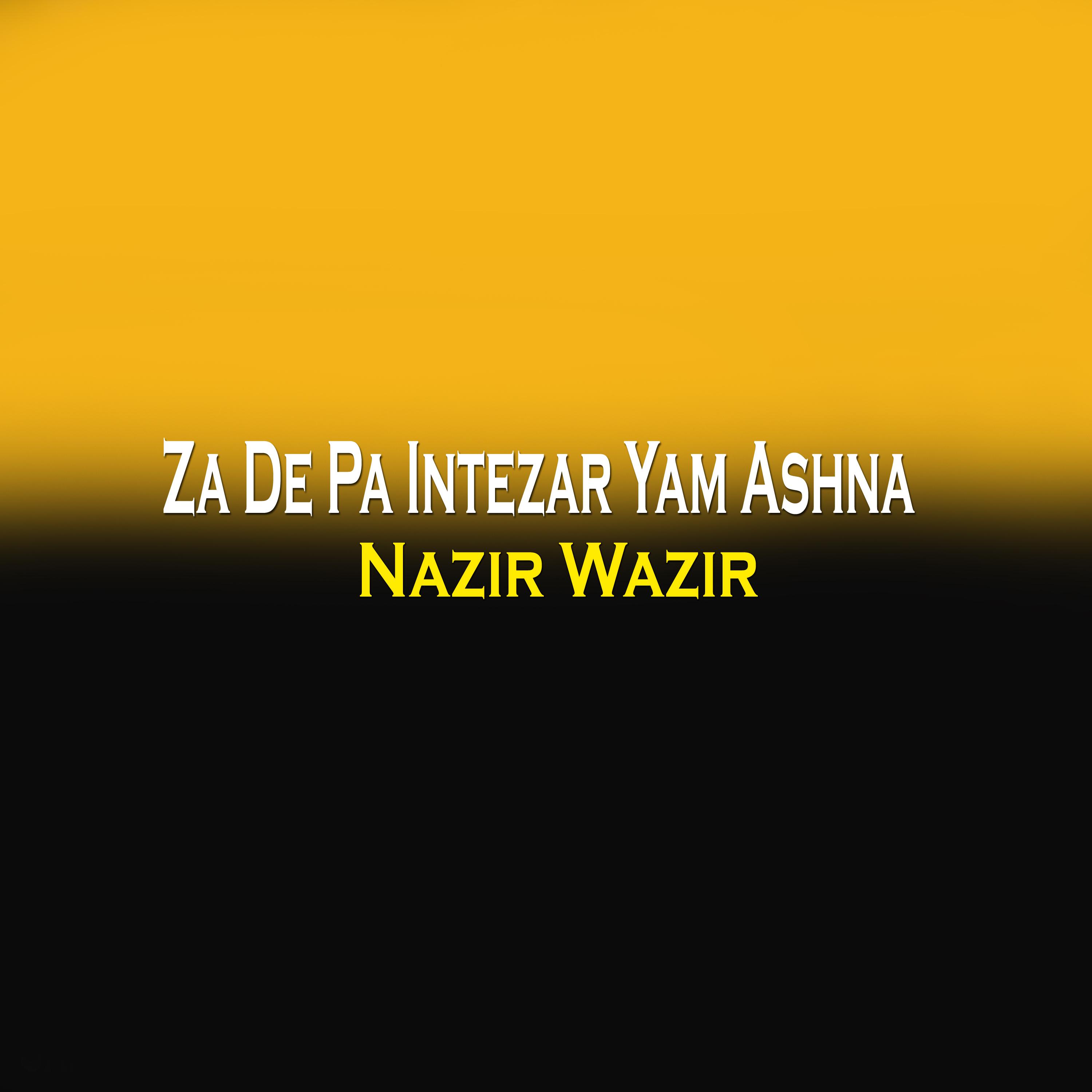 Постер альбома Za De Pa Intezar Yam Ashna