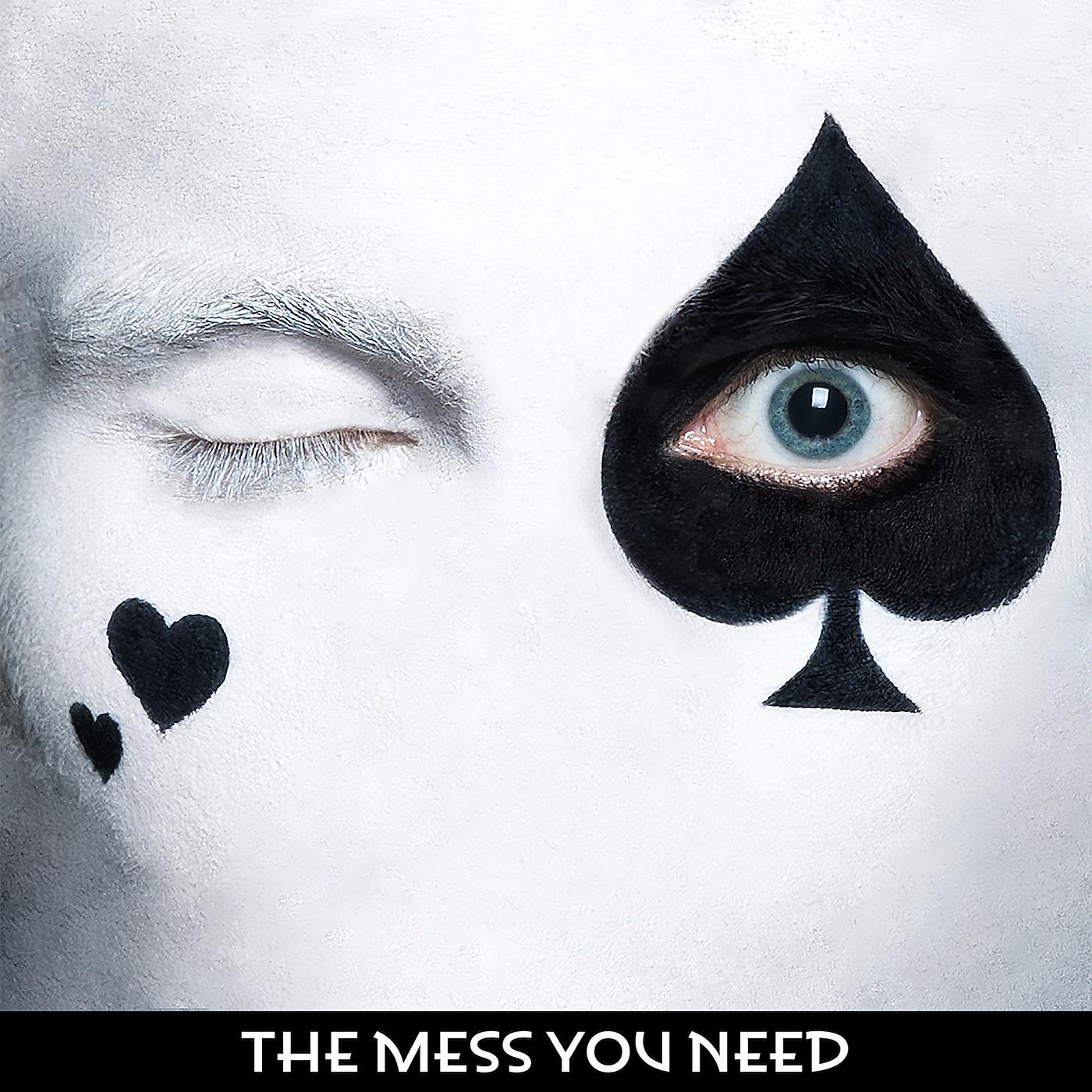 Постер альбома The Mess You Need