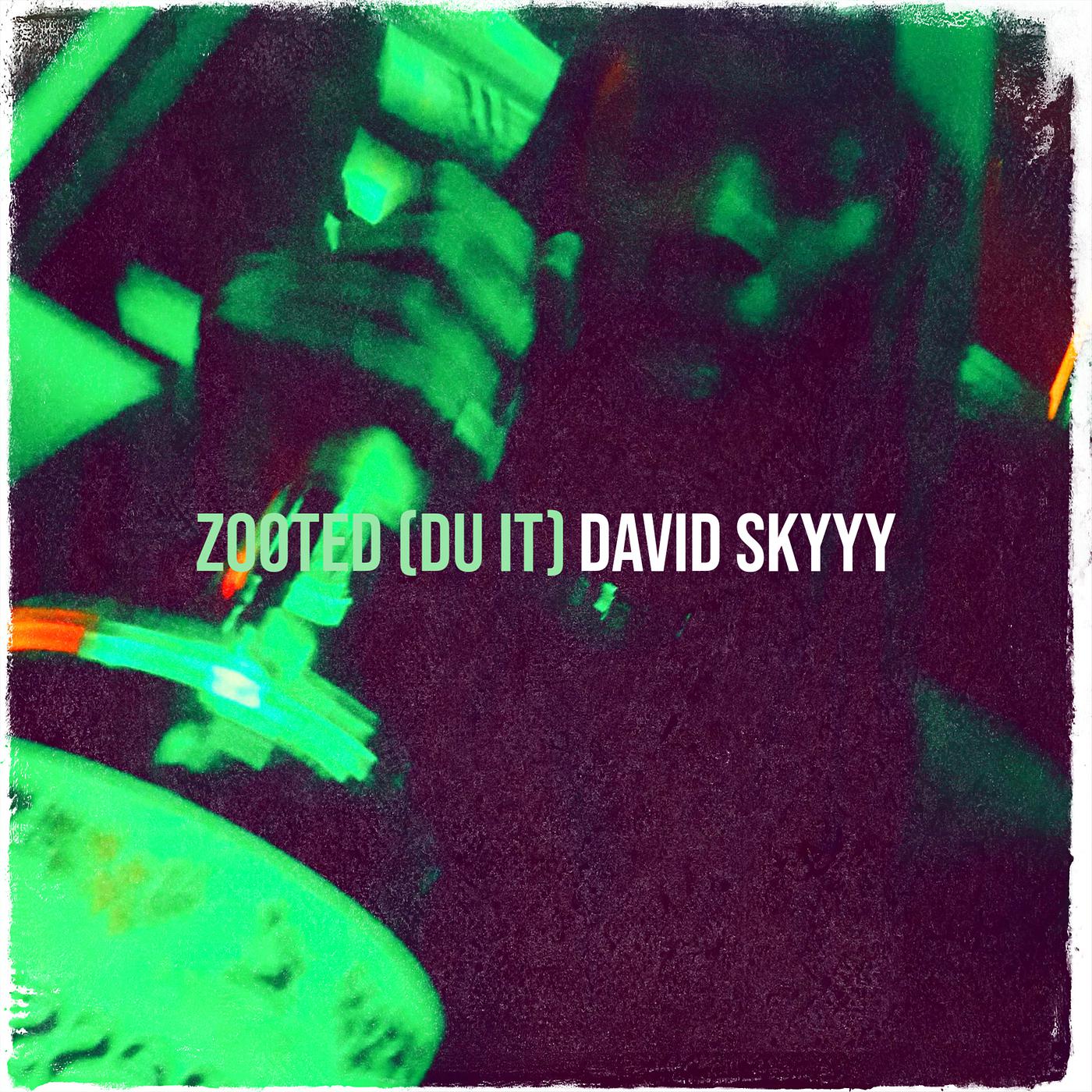 Постер альбома Zooted (Du It)