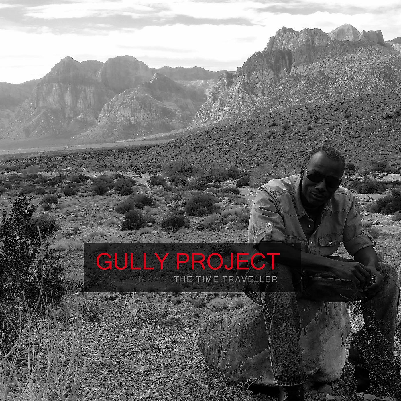 Постер альбома Gully Project