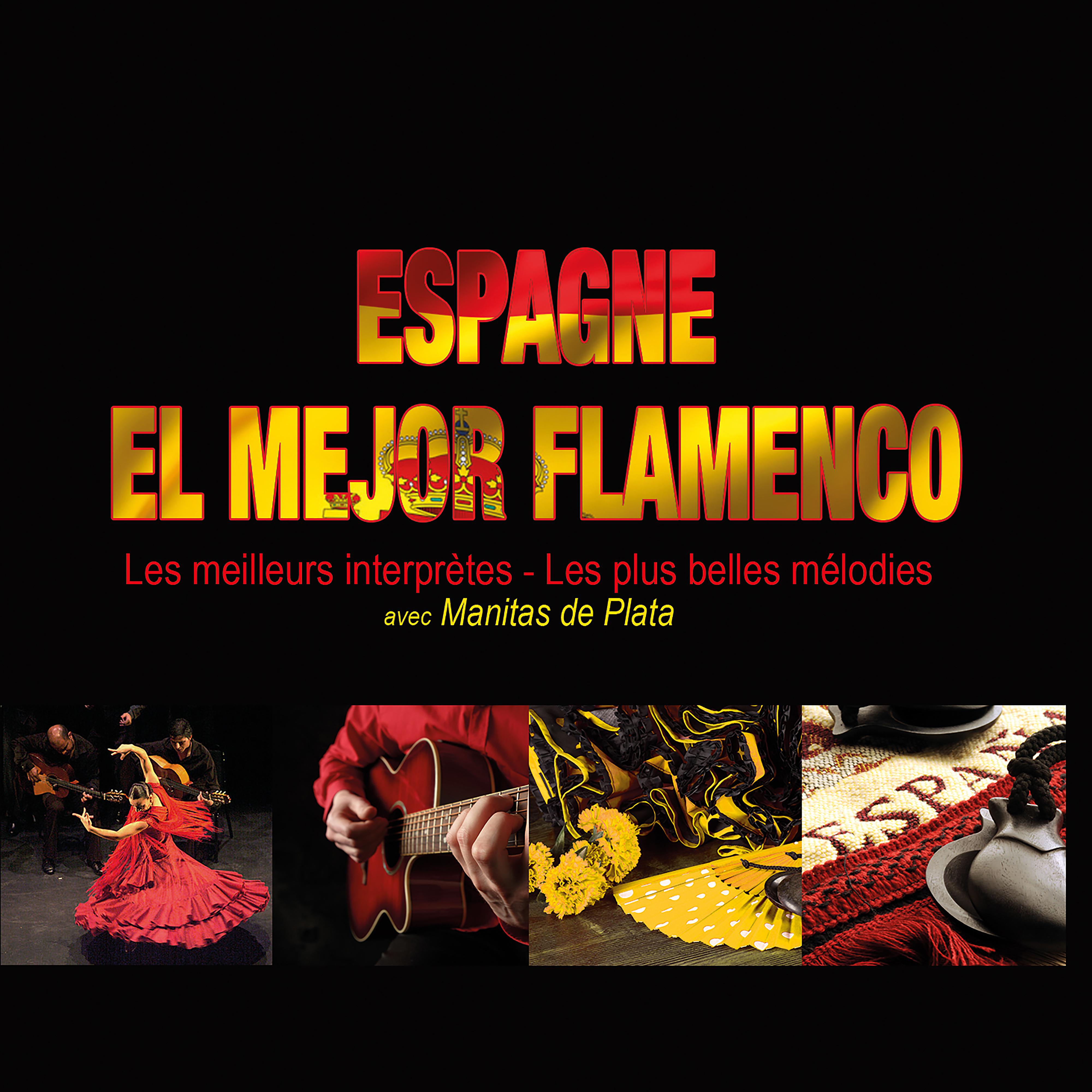 Постер альбома Espagne: El mejor flamenco (Les meilleurs interprètes, les meilleures mélodies)