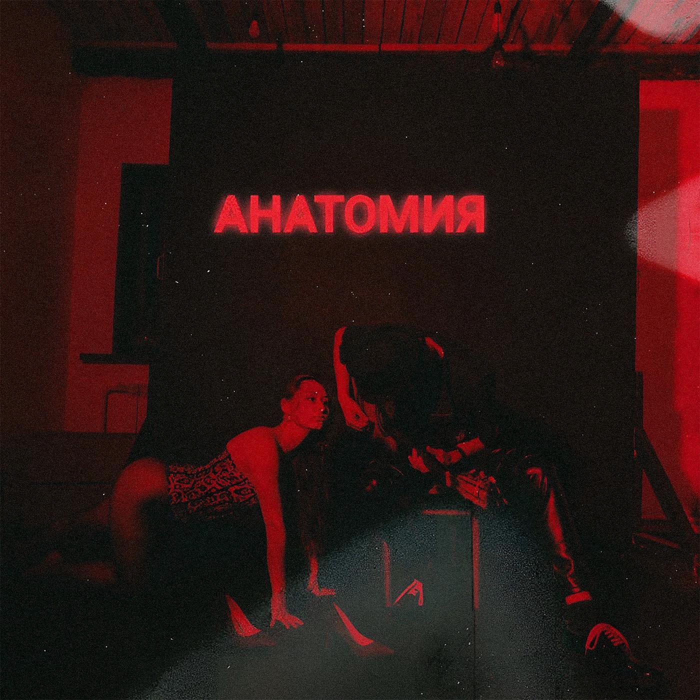 Постер альбома Анатомия (Acoustic Version)