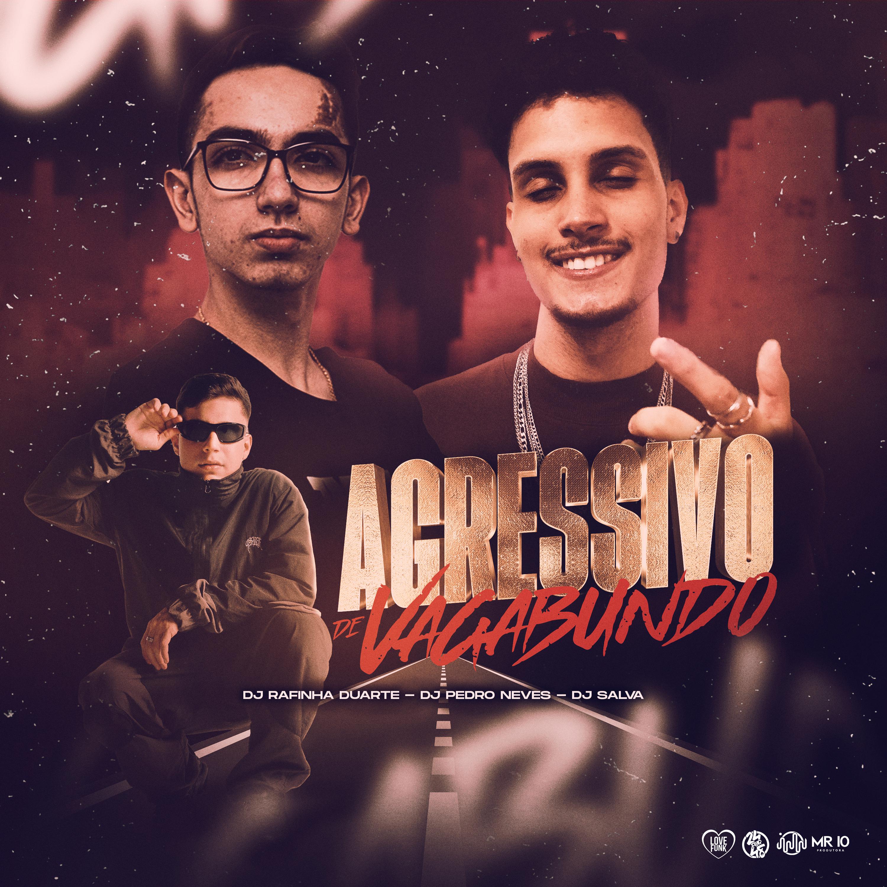 Постер альбома Agressivo de Vagabundo