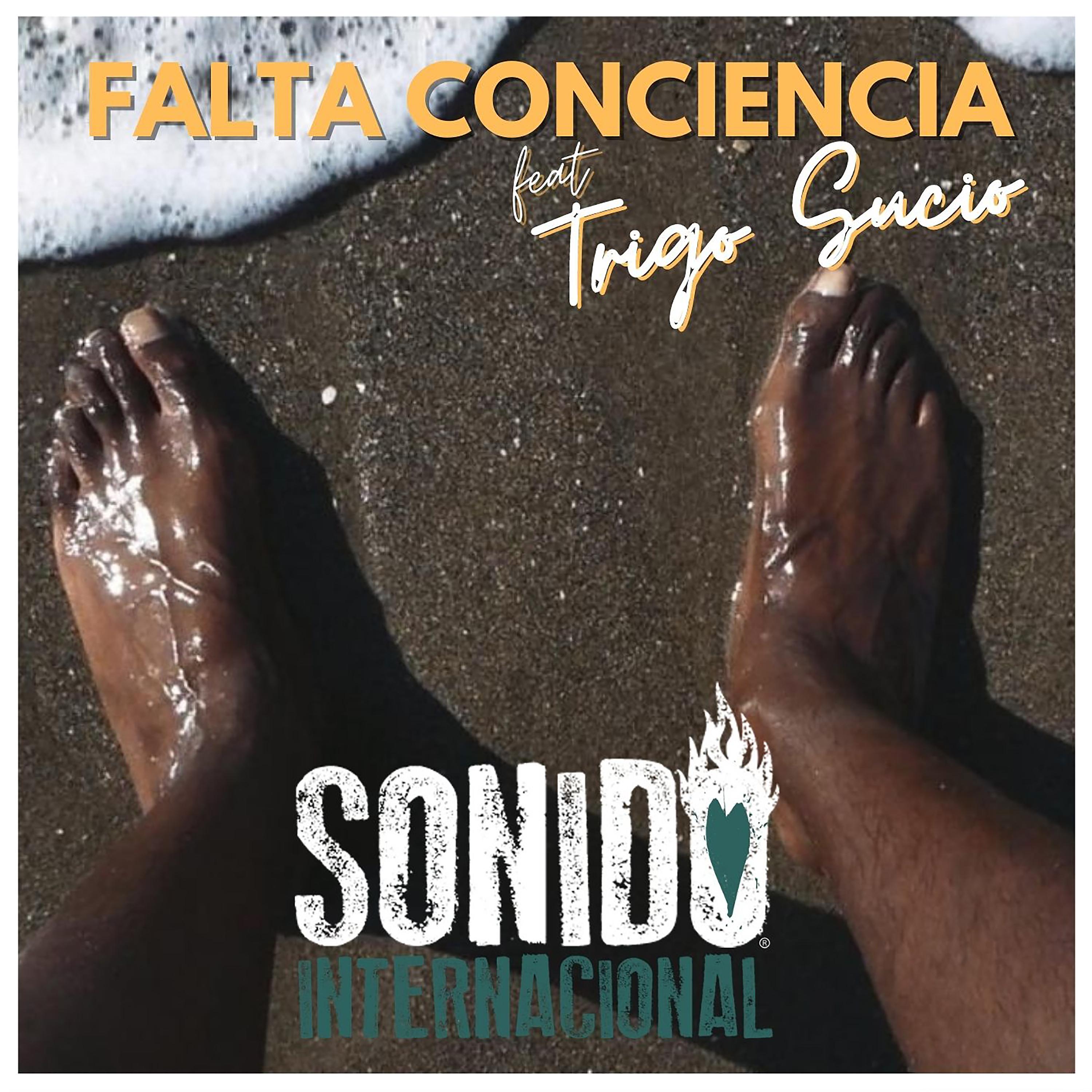 Постер альбома Falta Conciencia