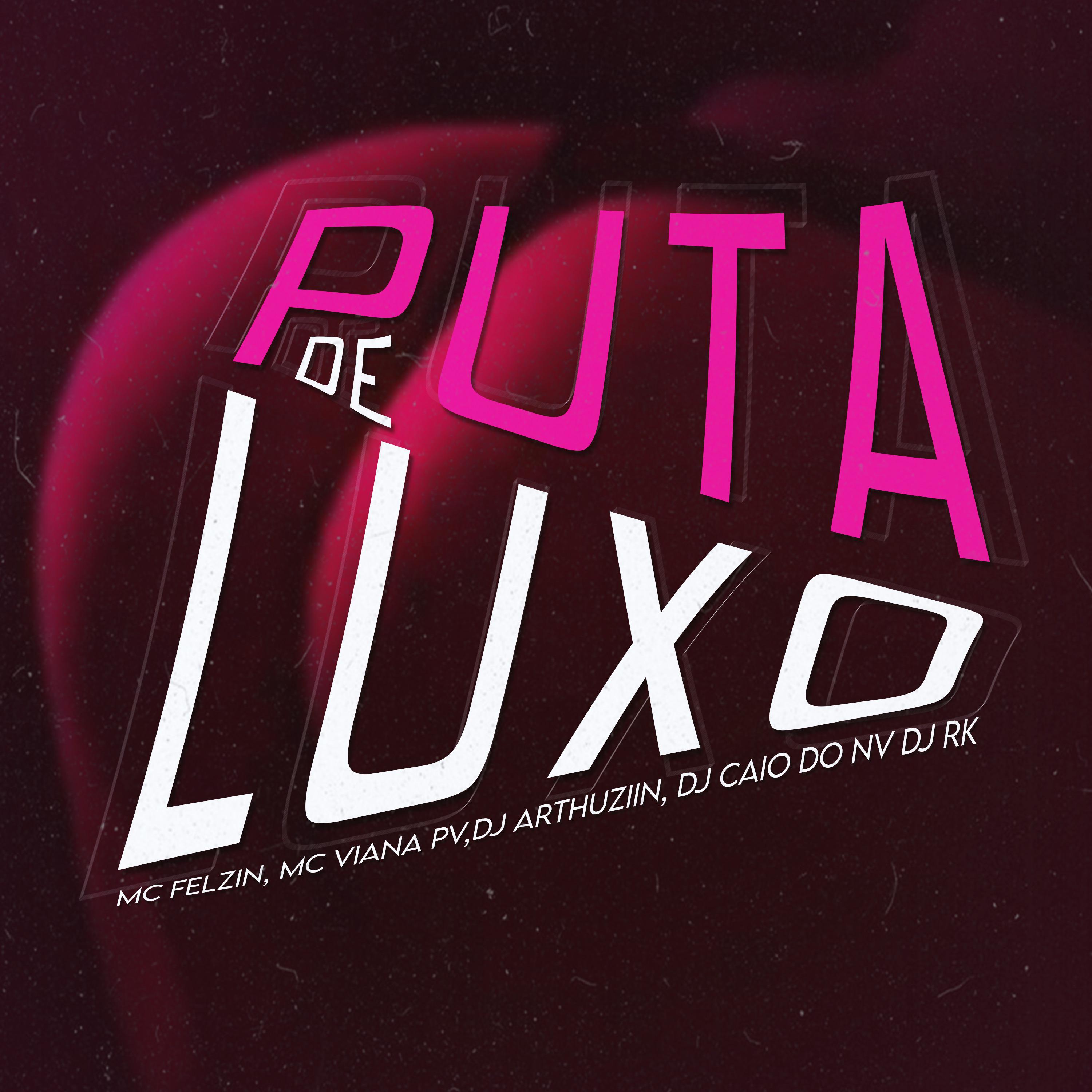 Постер альбома Puta de Luxo
