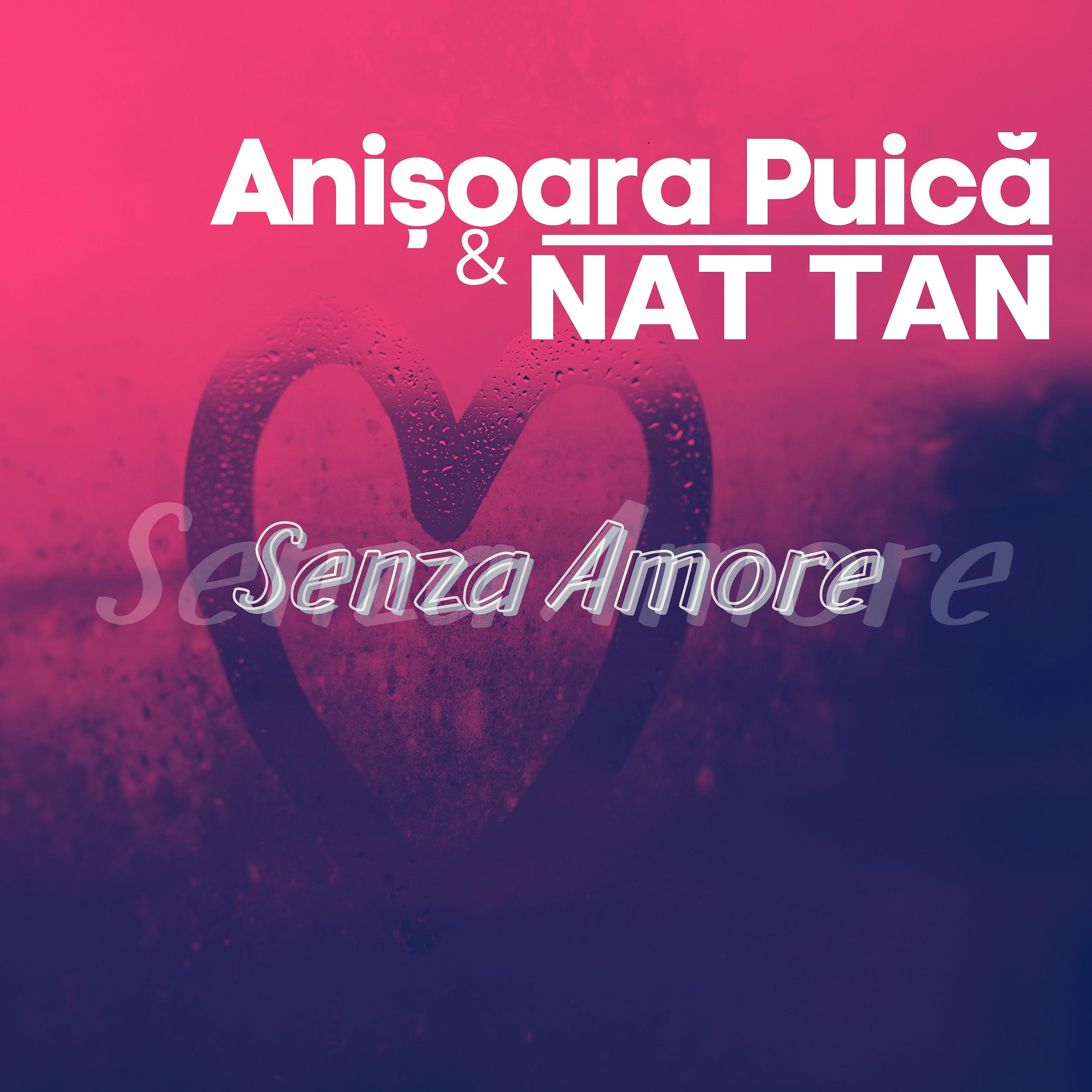 Постер альбома Senza Amore