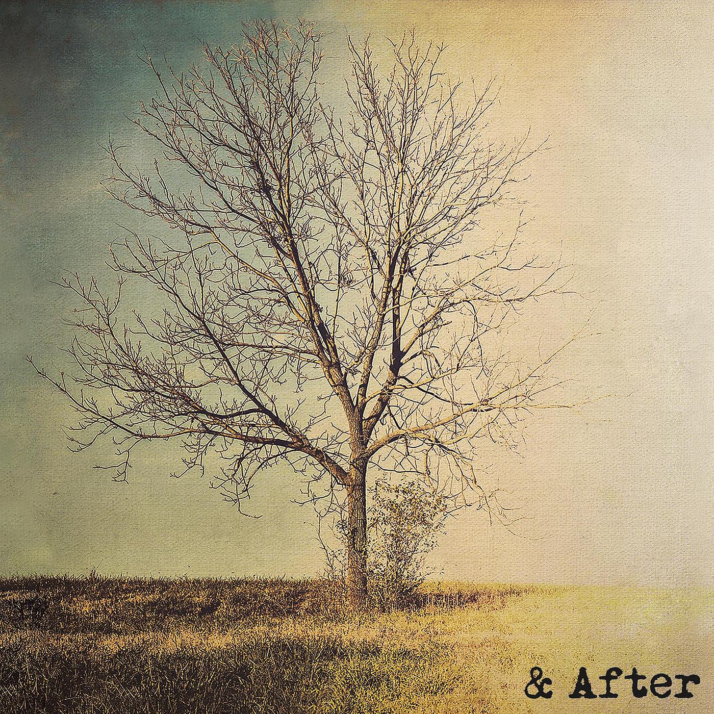 Постер альбома & After