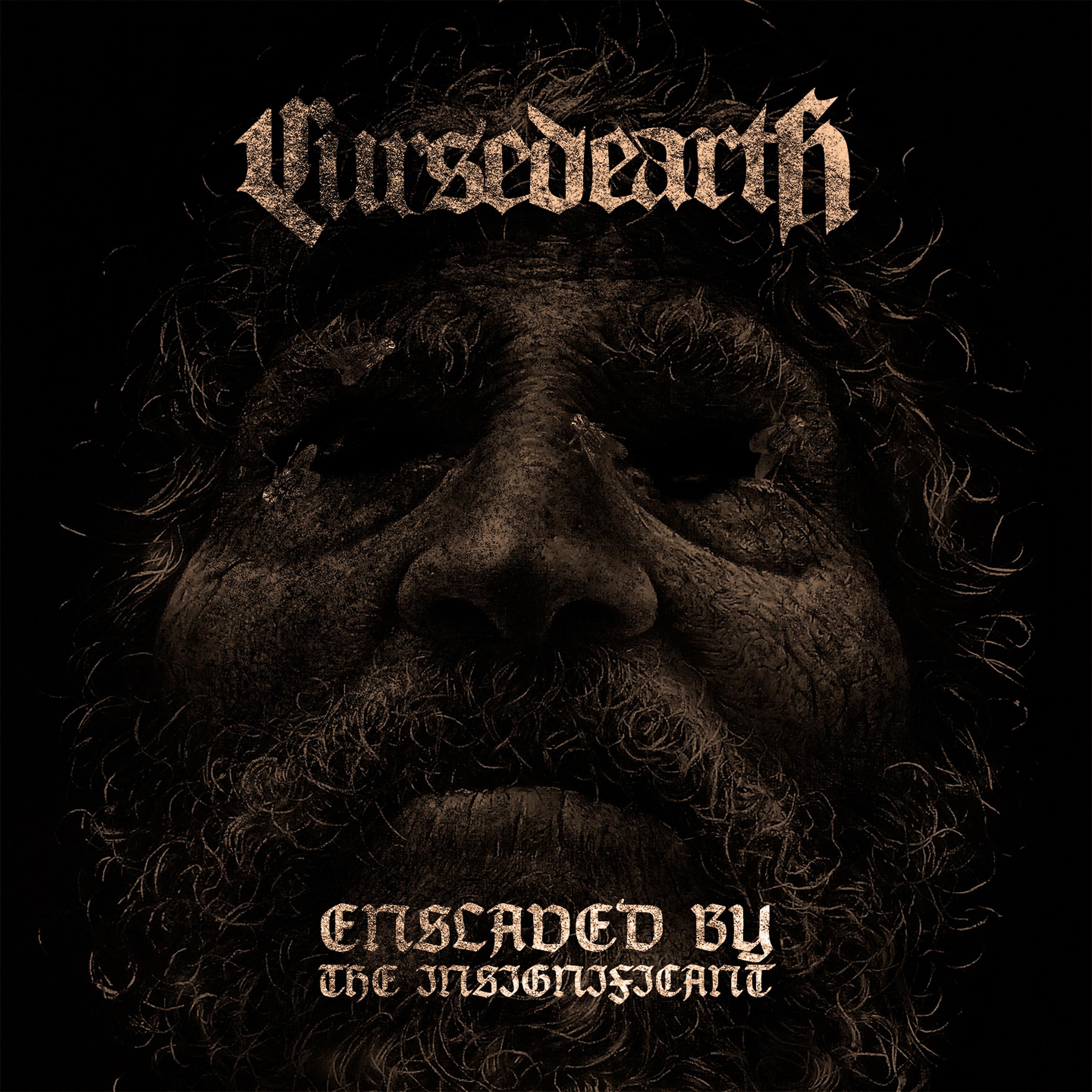 Постер альбома Enslaved by the Insignificant
