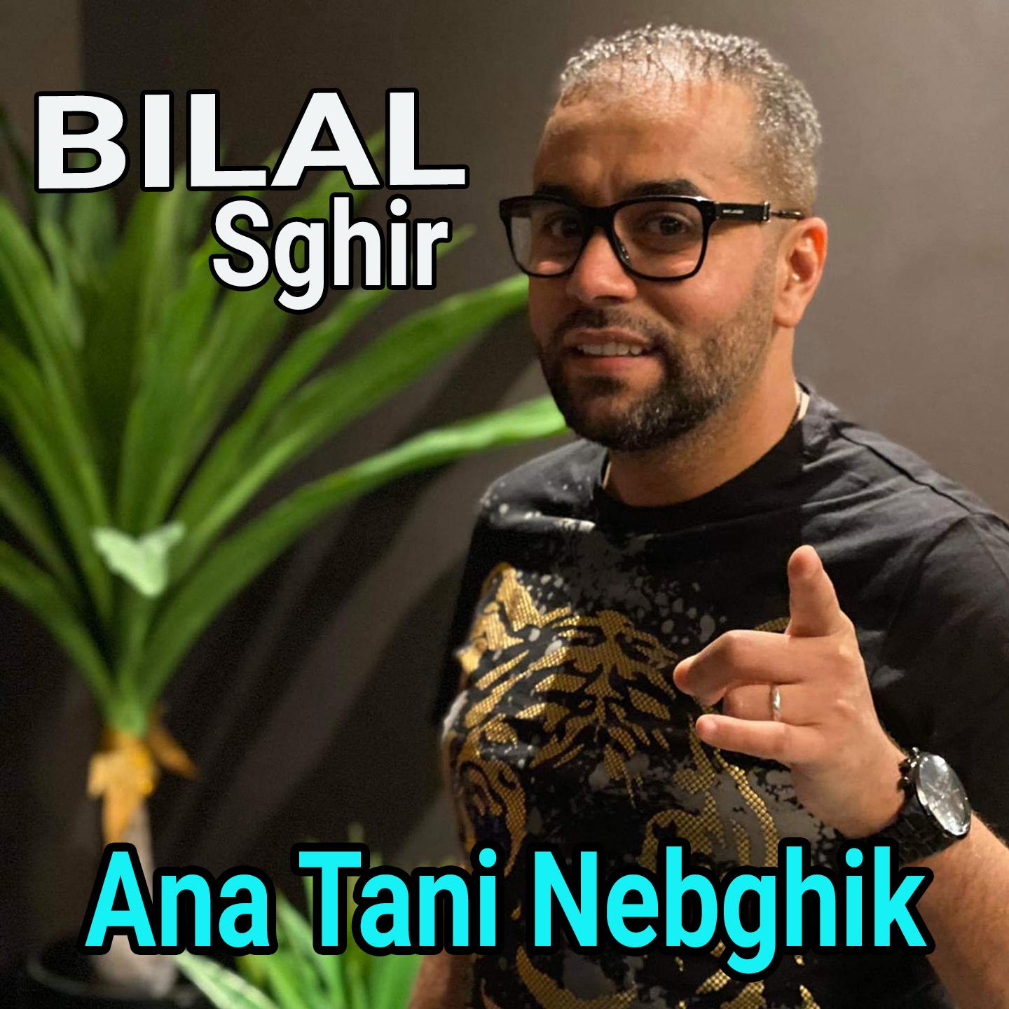 Постер альбома Ana Tani Nebghik