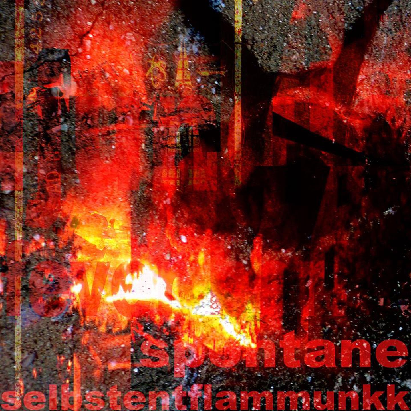 Постер альбома Spontane Selbstentflammunkk