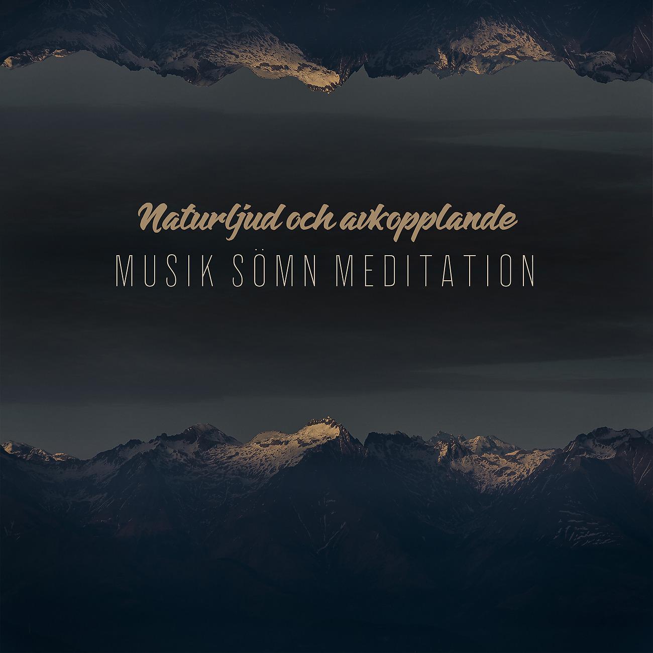 Постер альбома Naturljud och avkopplande Musik Sömn Meditation