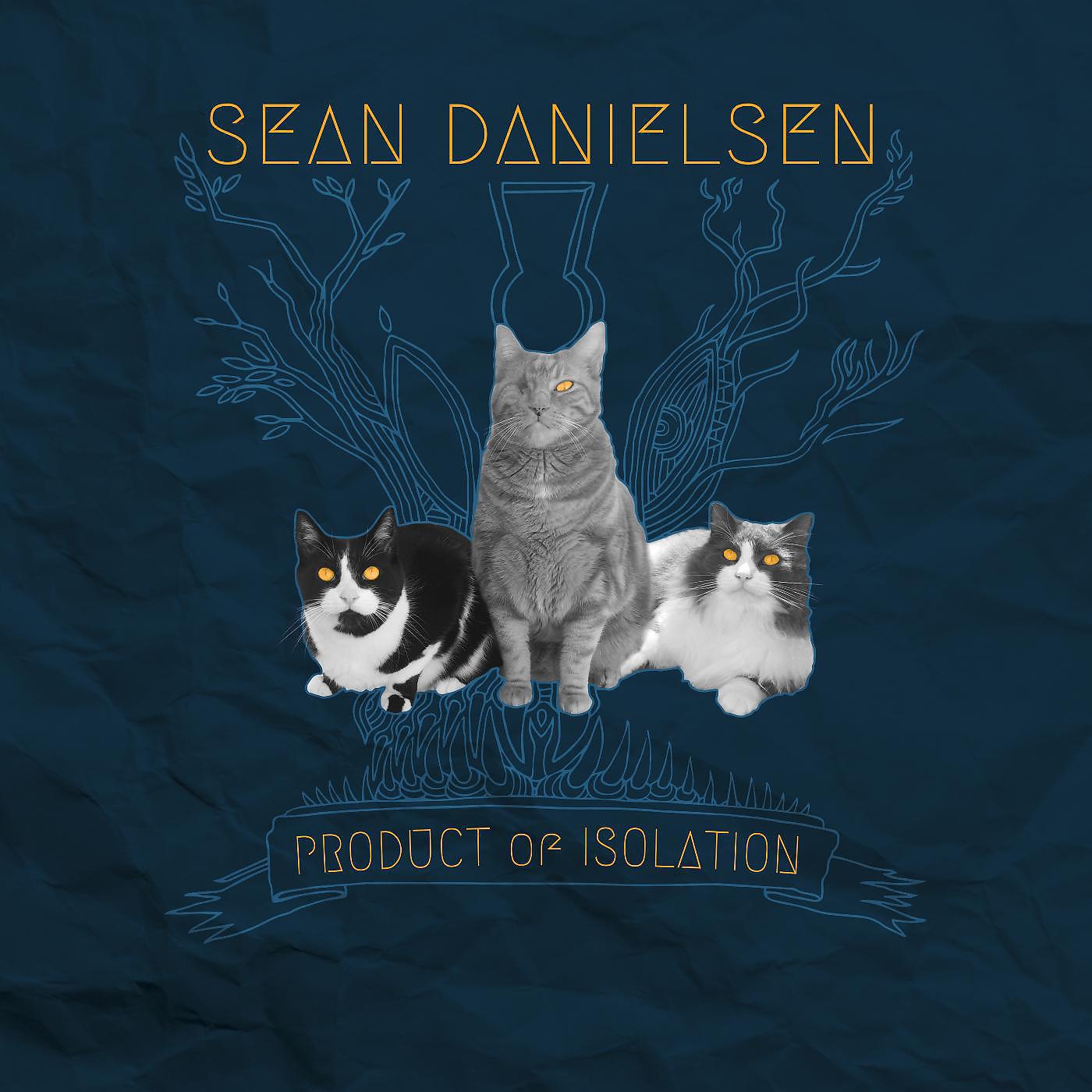 Постер альбома Product of Isolation