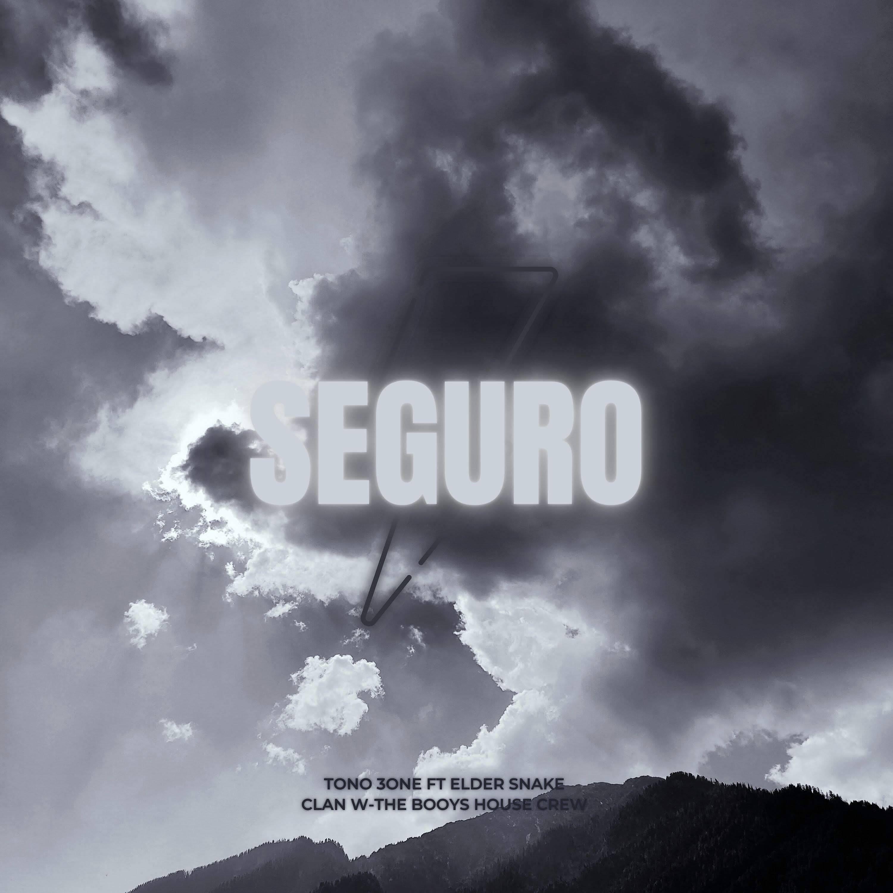 Постер альбома Seguro