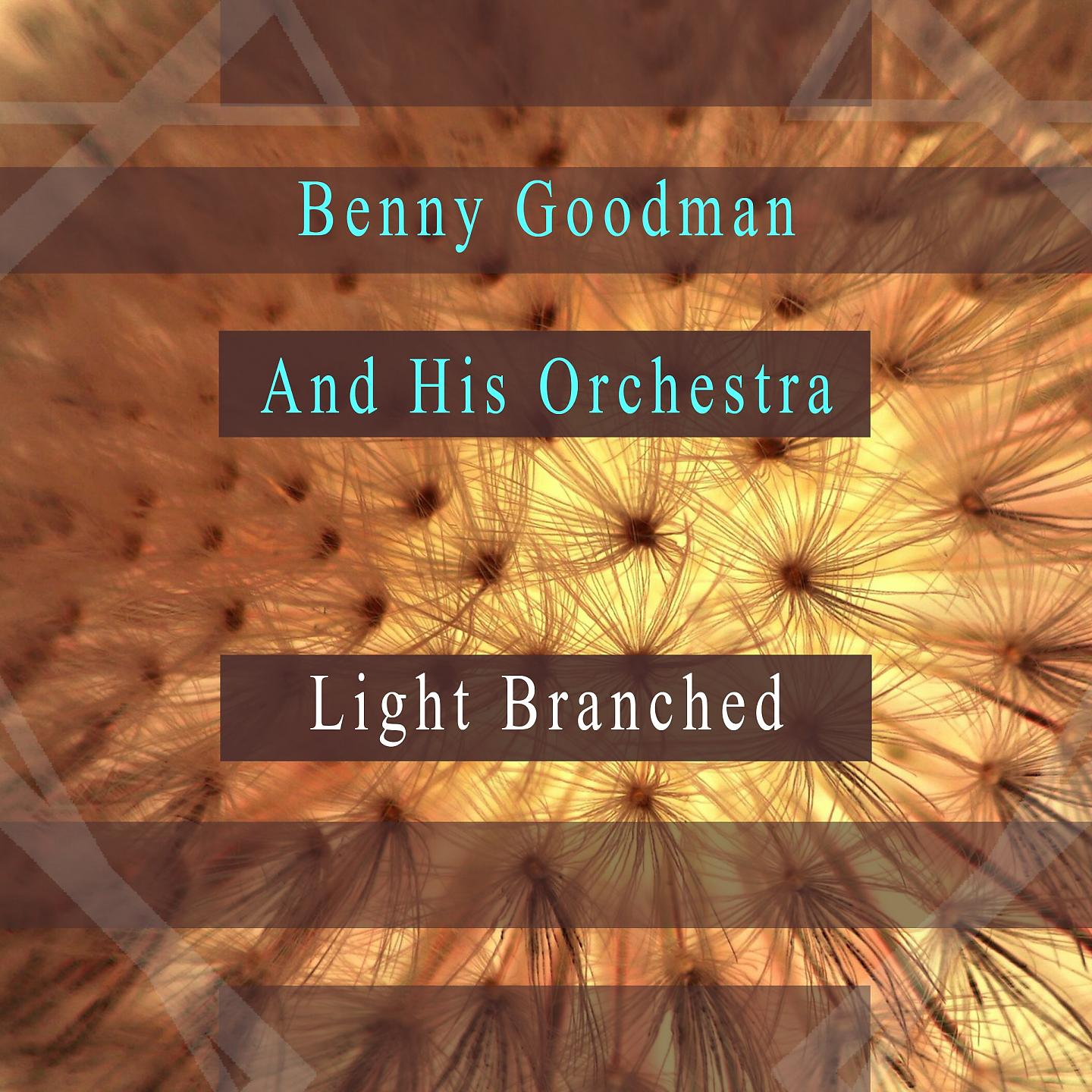 Постер альбома Light Branched