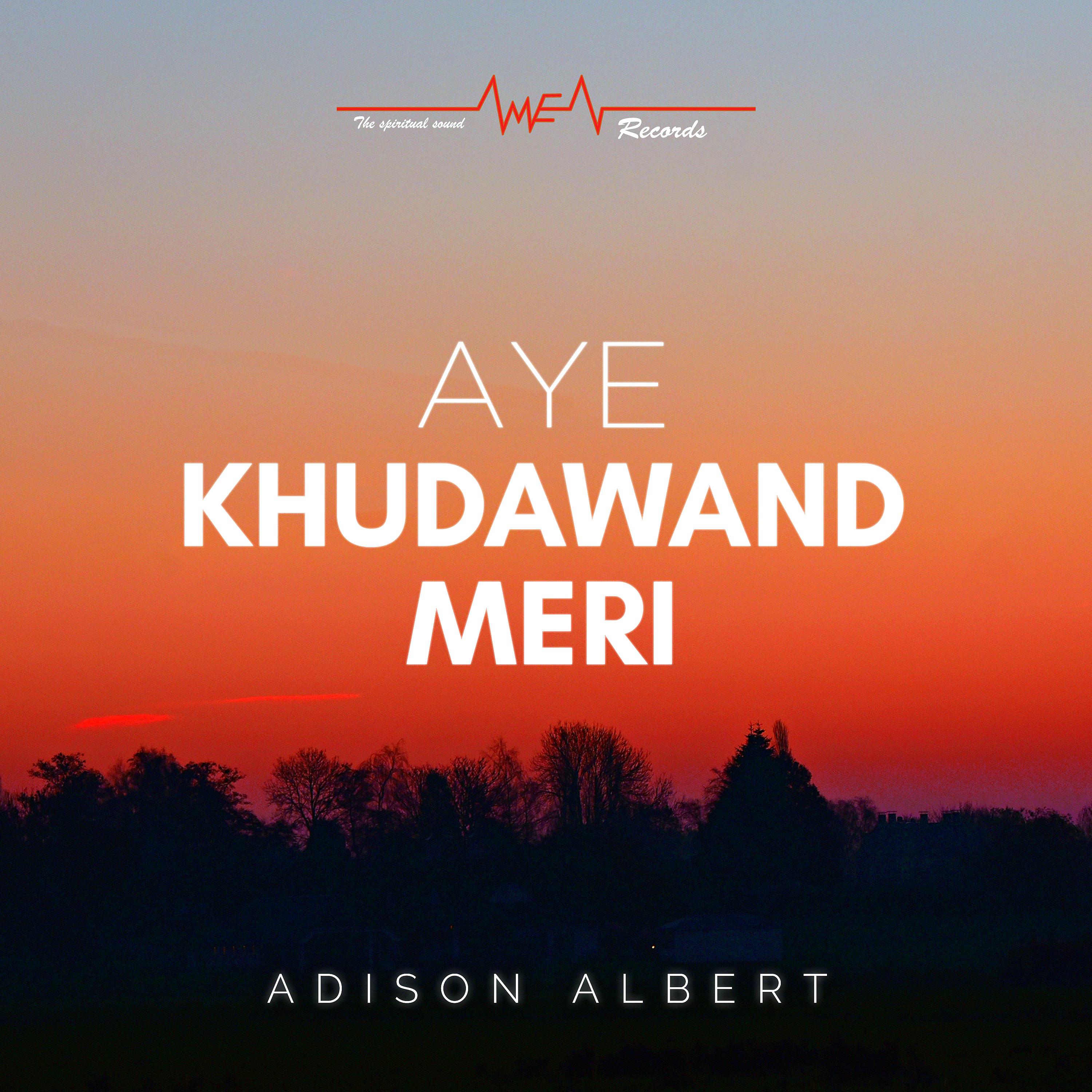 Постер альбома Aye Khudawand Meri - Single
