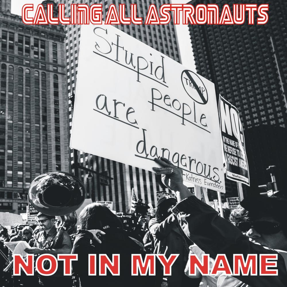 Постер альбома Not In My Name (Single Version)