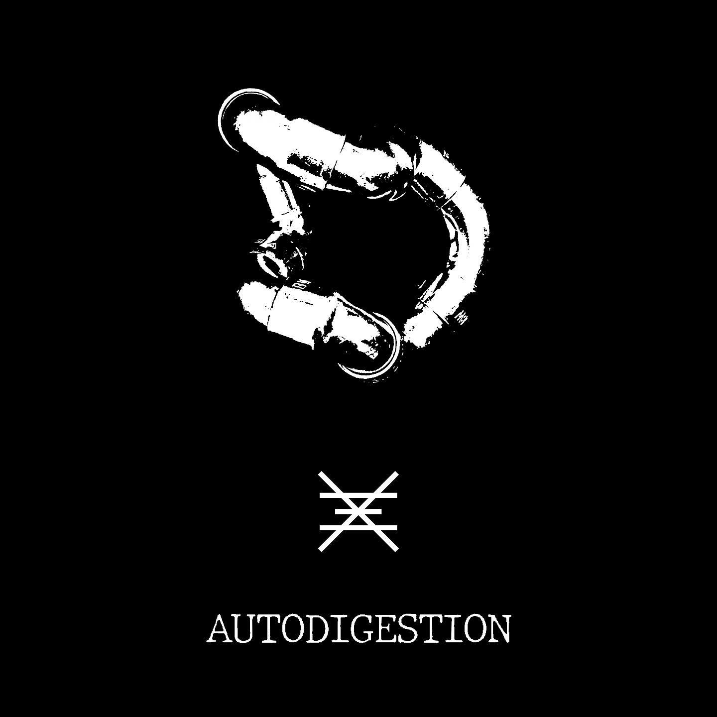 Постер альбома Autodigestion