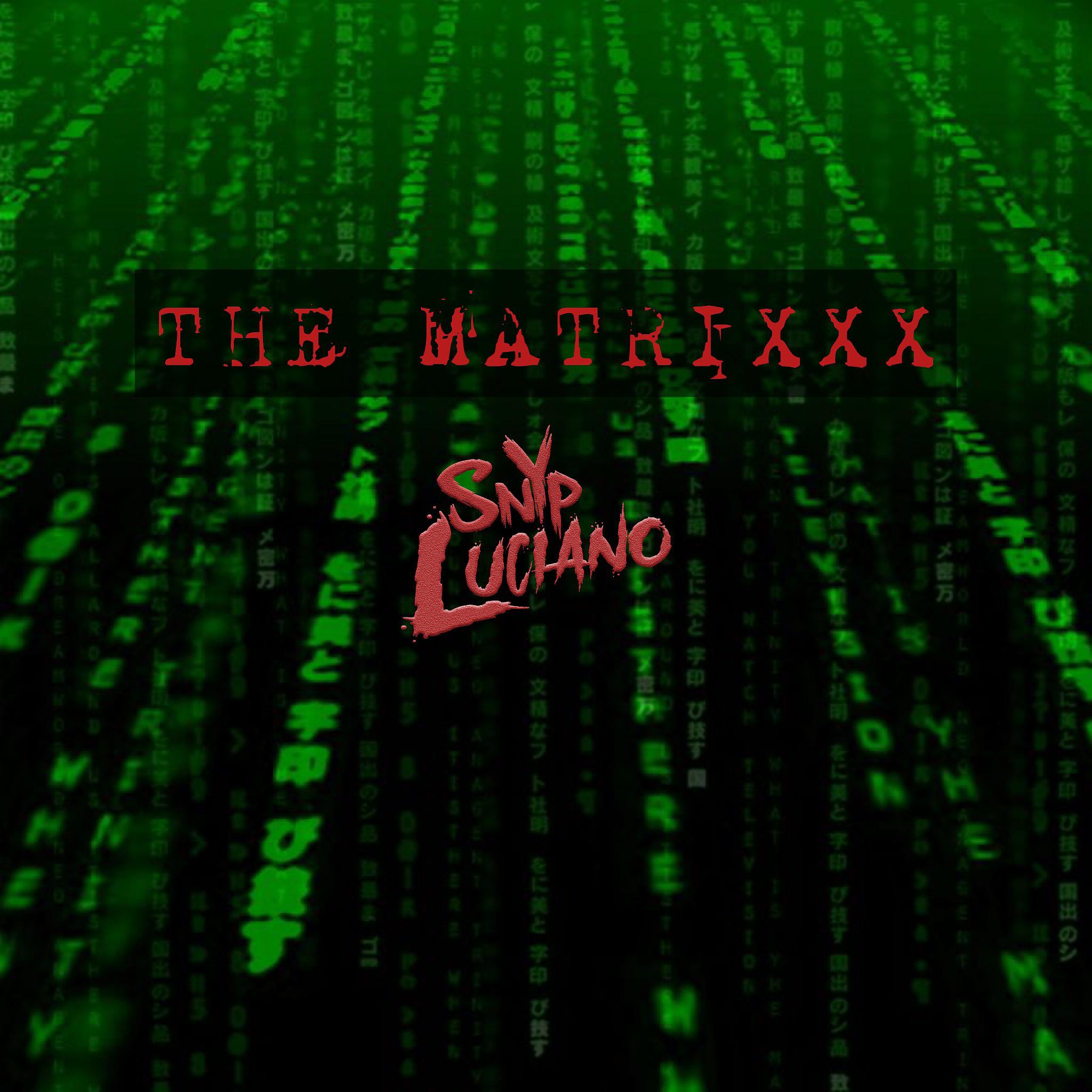 Постер альбома The Matrixxx