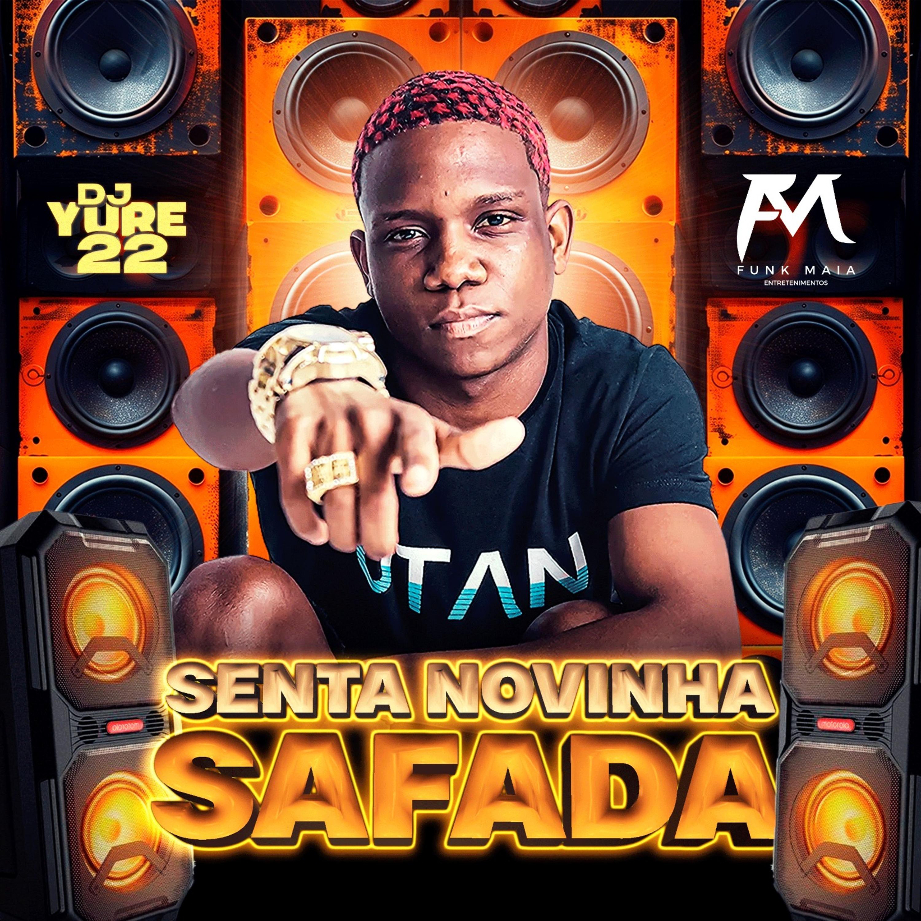Постер альбома Senta Novinha Safada