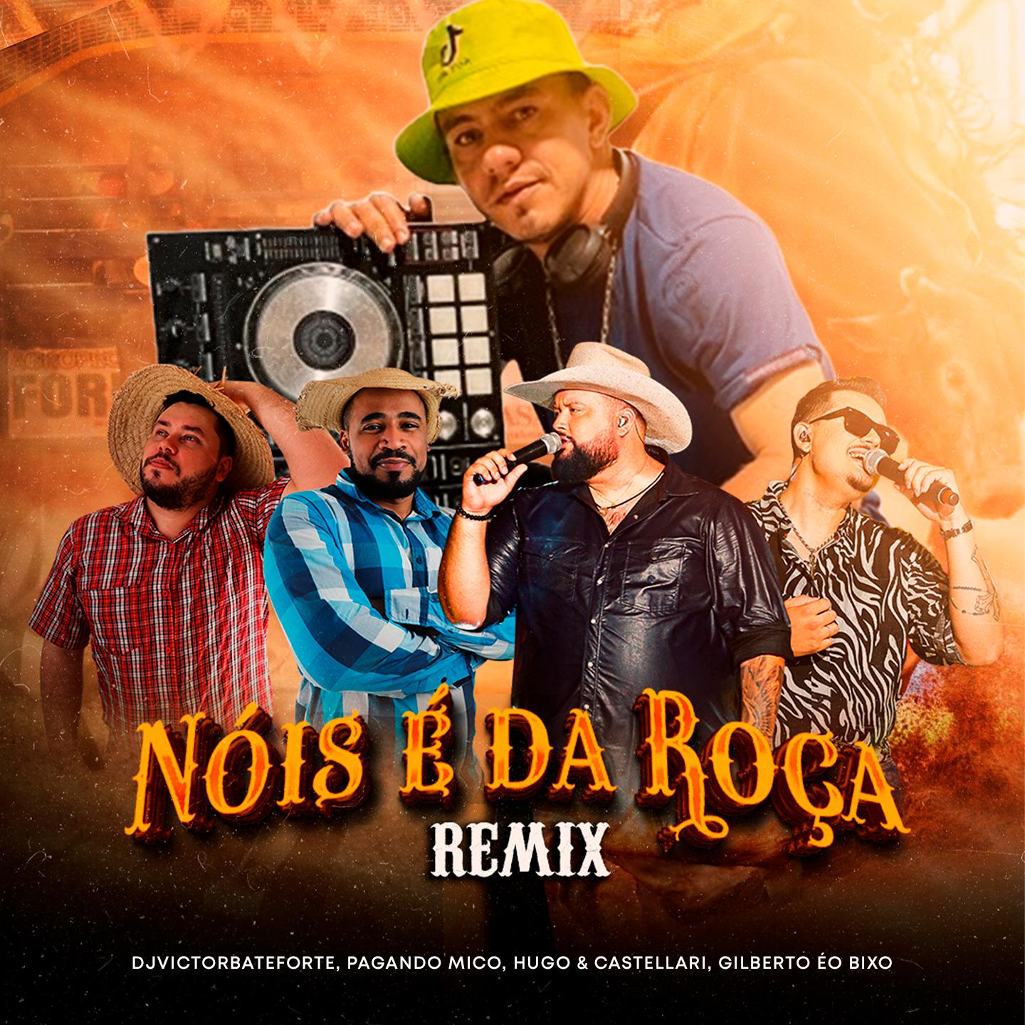 Постер альбома Nóis é da Roça
