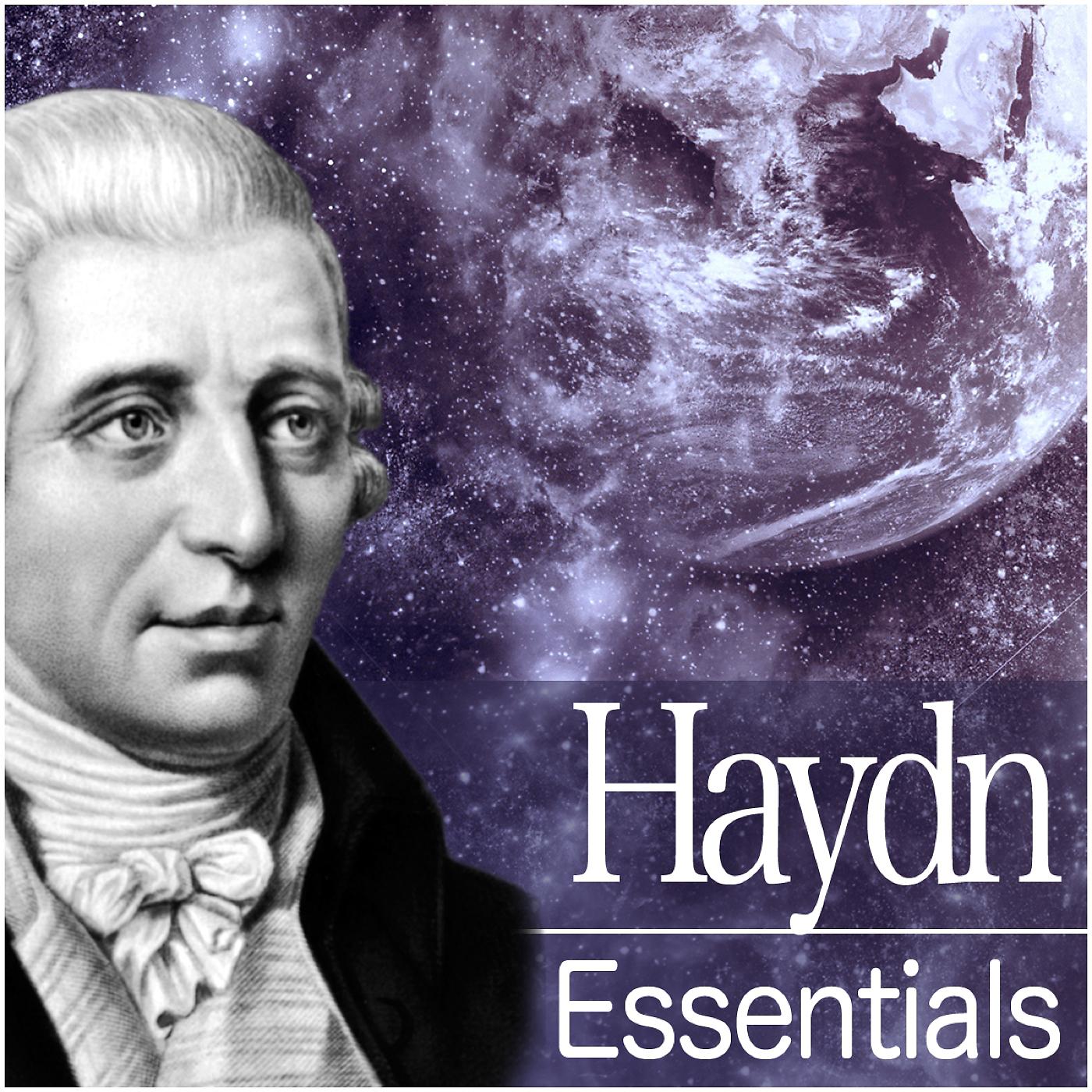 Постер альбома Haydn Essentials