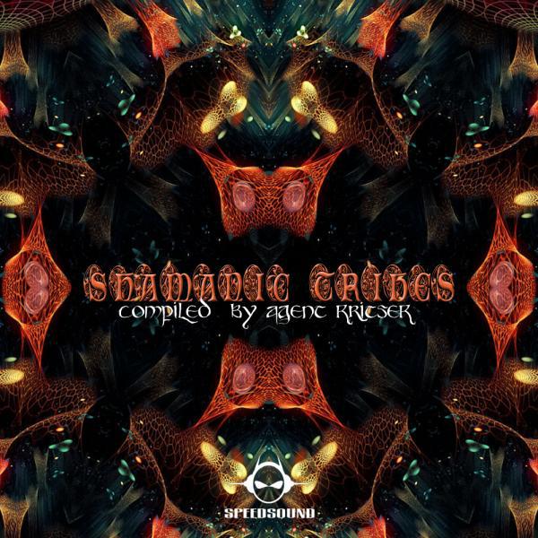 Постер альбома Shamanic Tribes